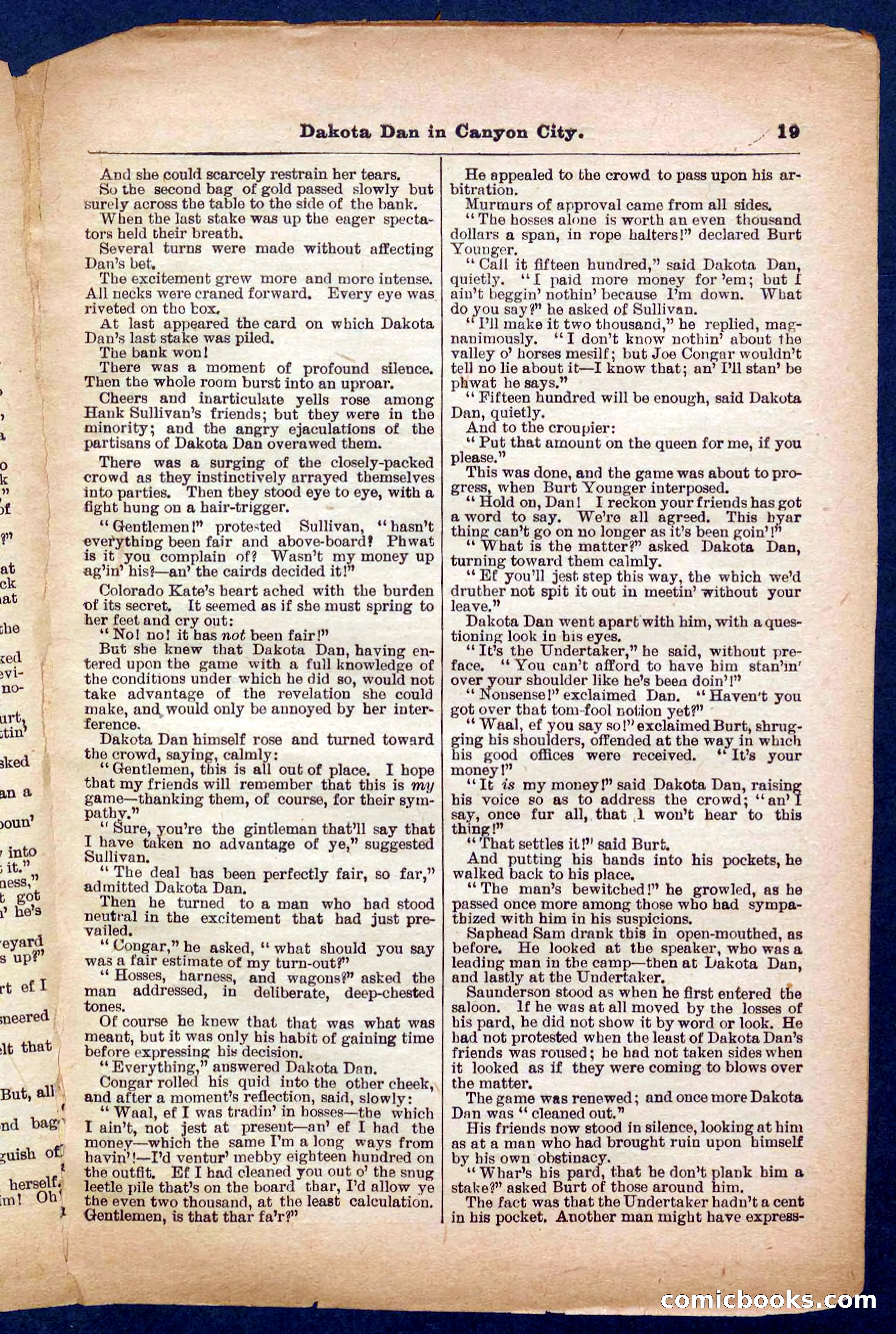 Beadle's Pocket Library No. 332 — page 19 of 32