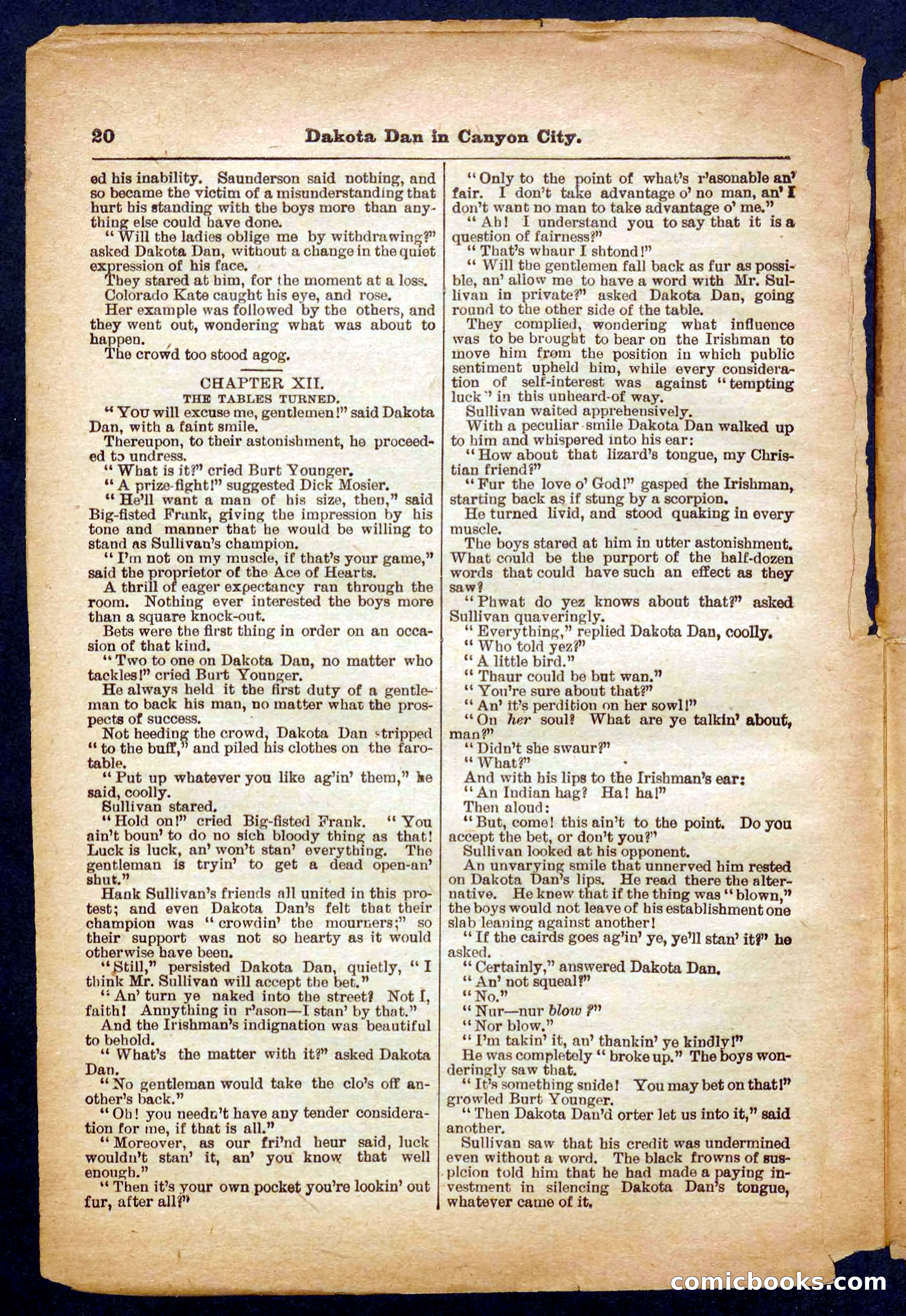 Beadle's Pocket Library No. 332 — page 20 of 32