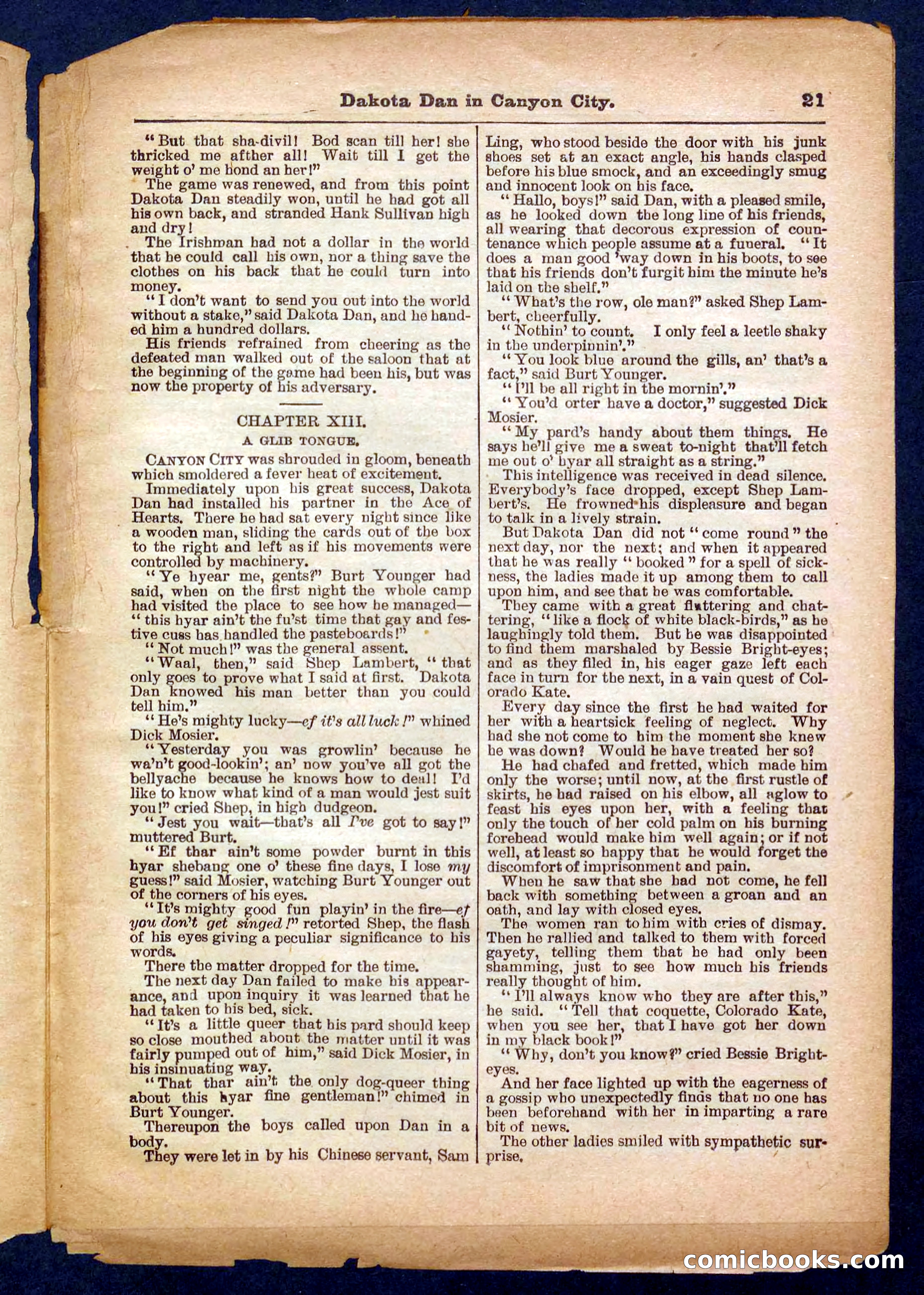 Beadle's Pocket Library No. 332 — page 21 of 32