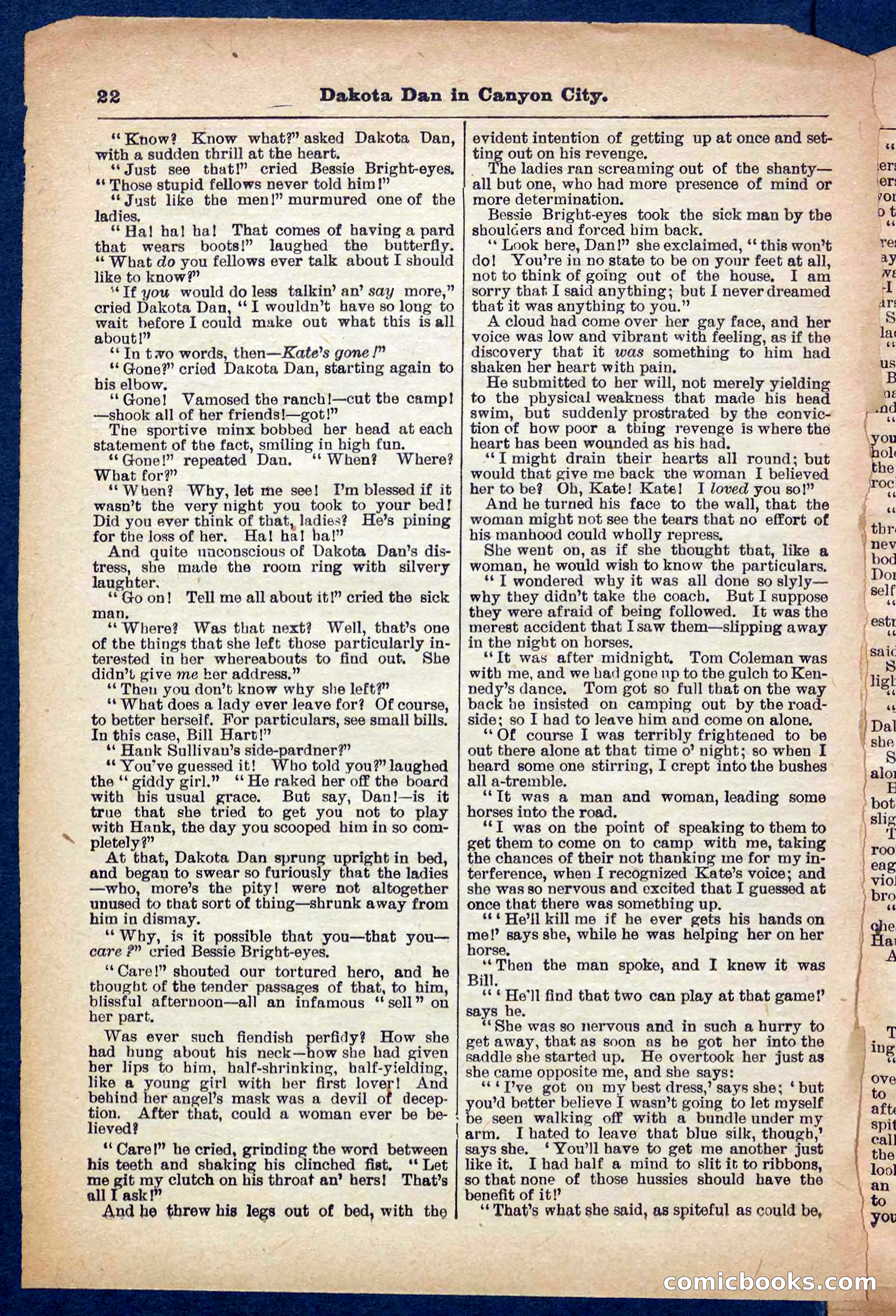 Beadle's Pocket Library No. 332 — page 22 of 32