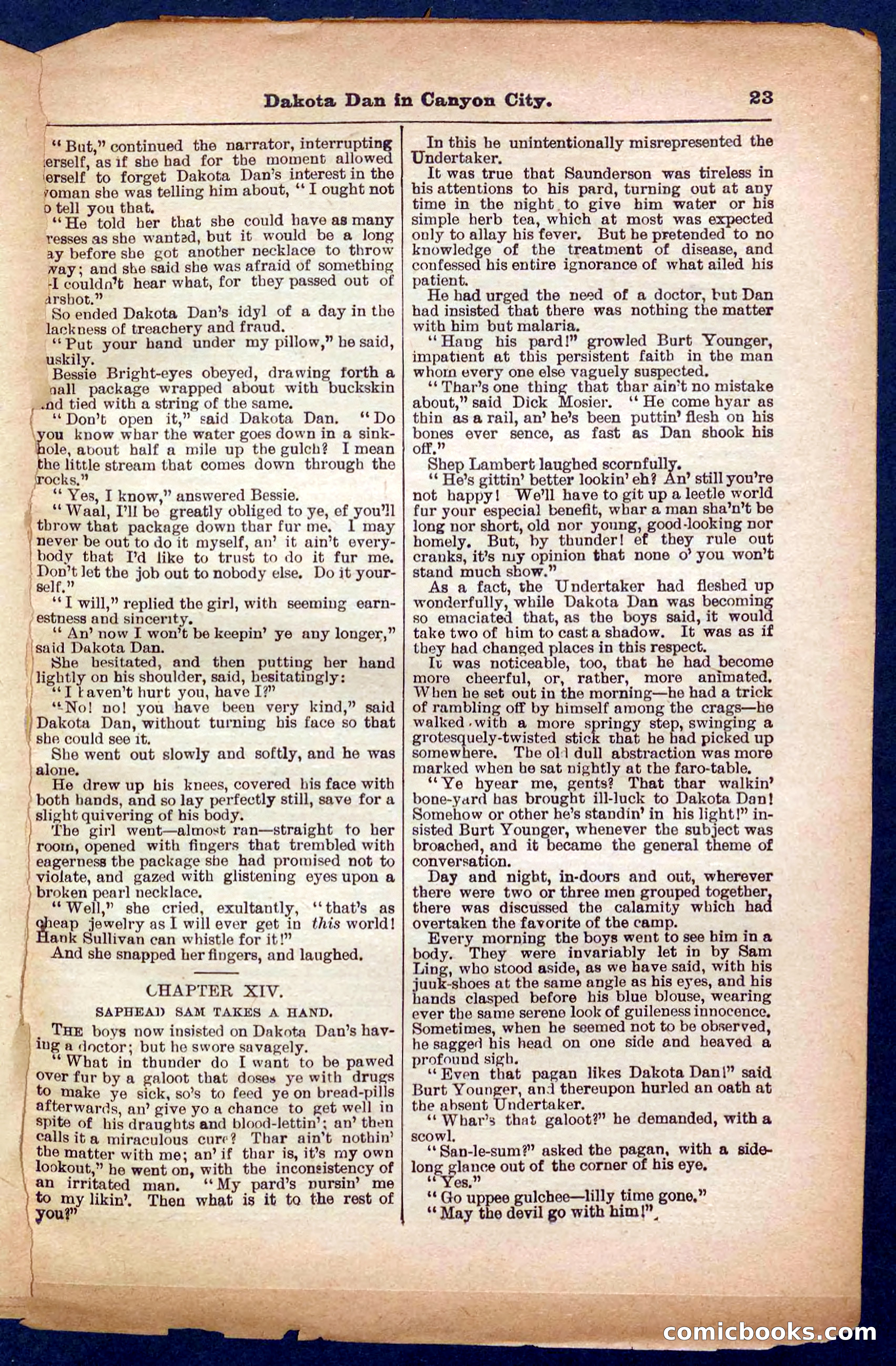 Beadle's Pocket Library No. 332 — page 23 of 32