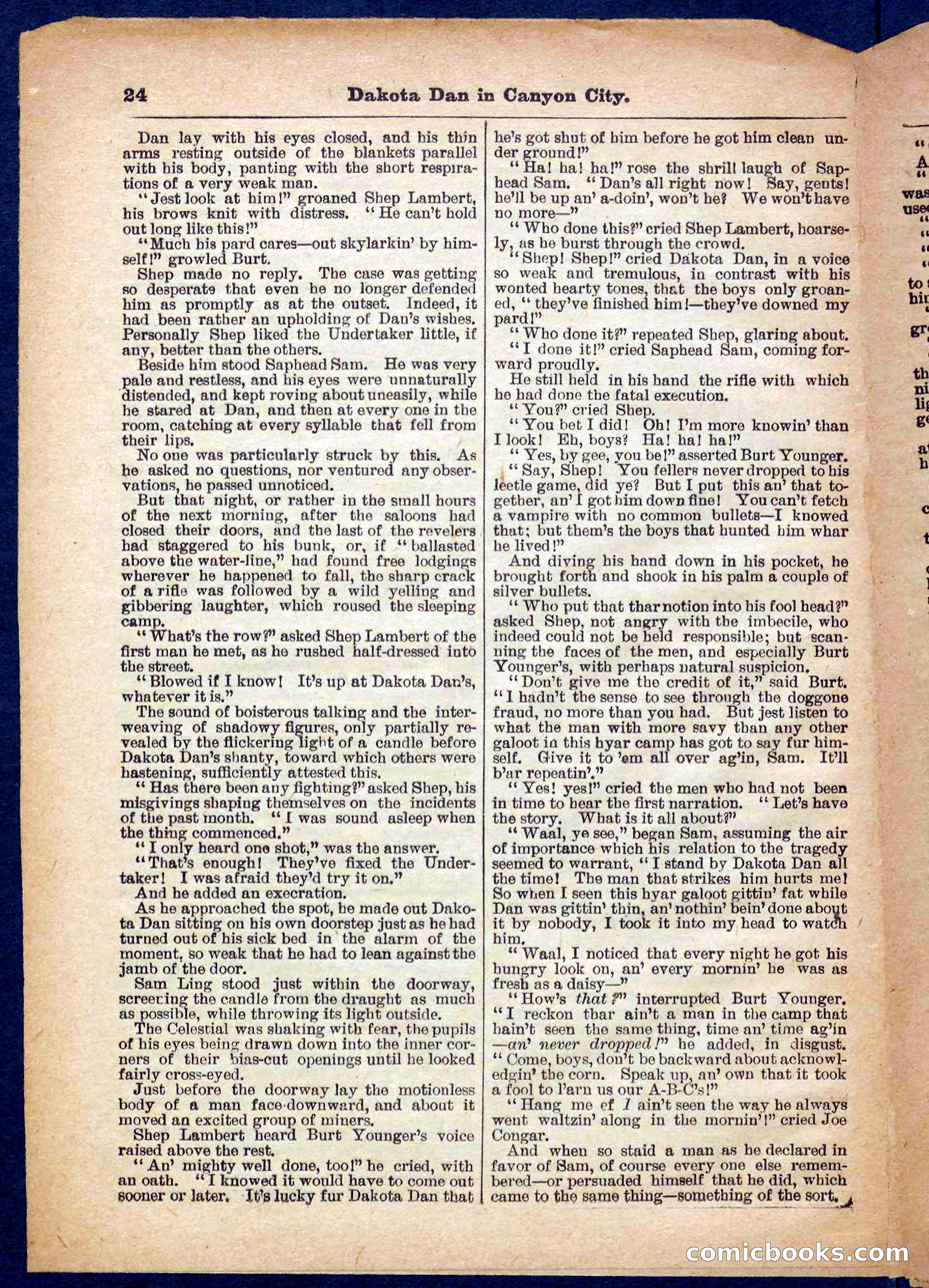 Beadle's Pocket Library No. 332 — page 24 of 32