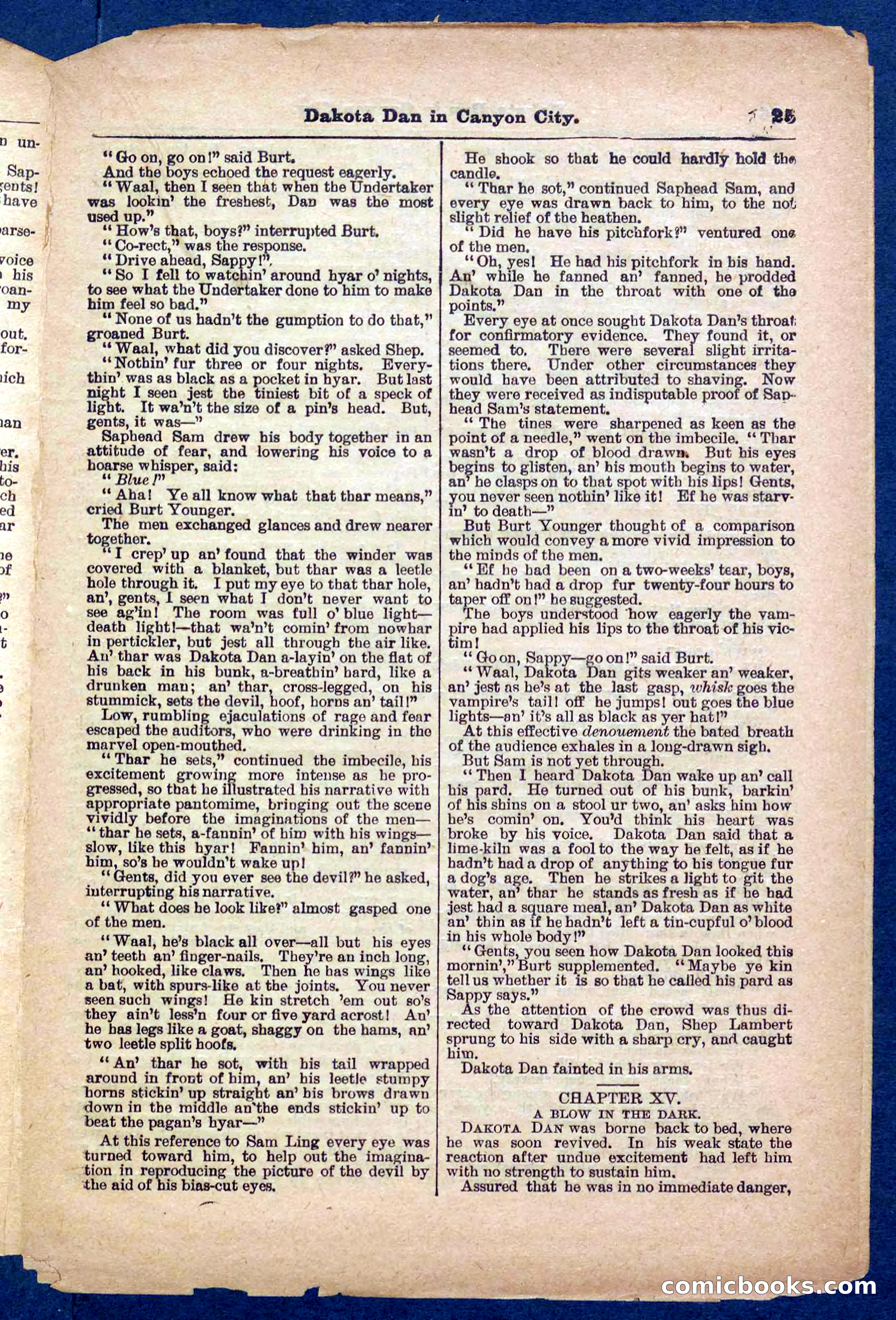 Beadle's Pocket Library No. 332 — page 25 of 32