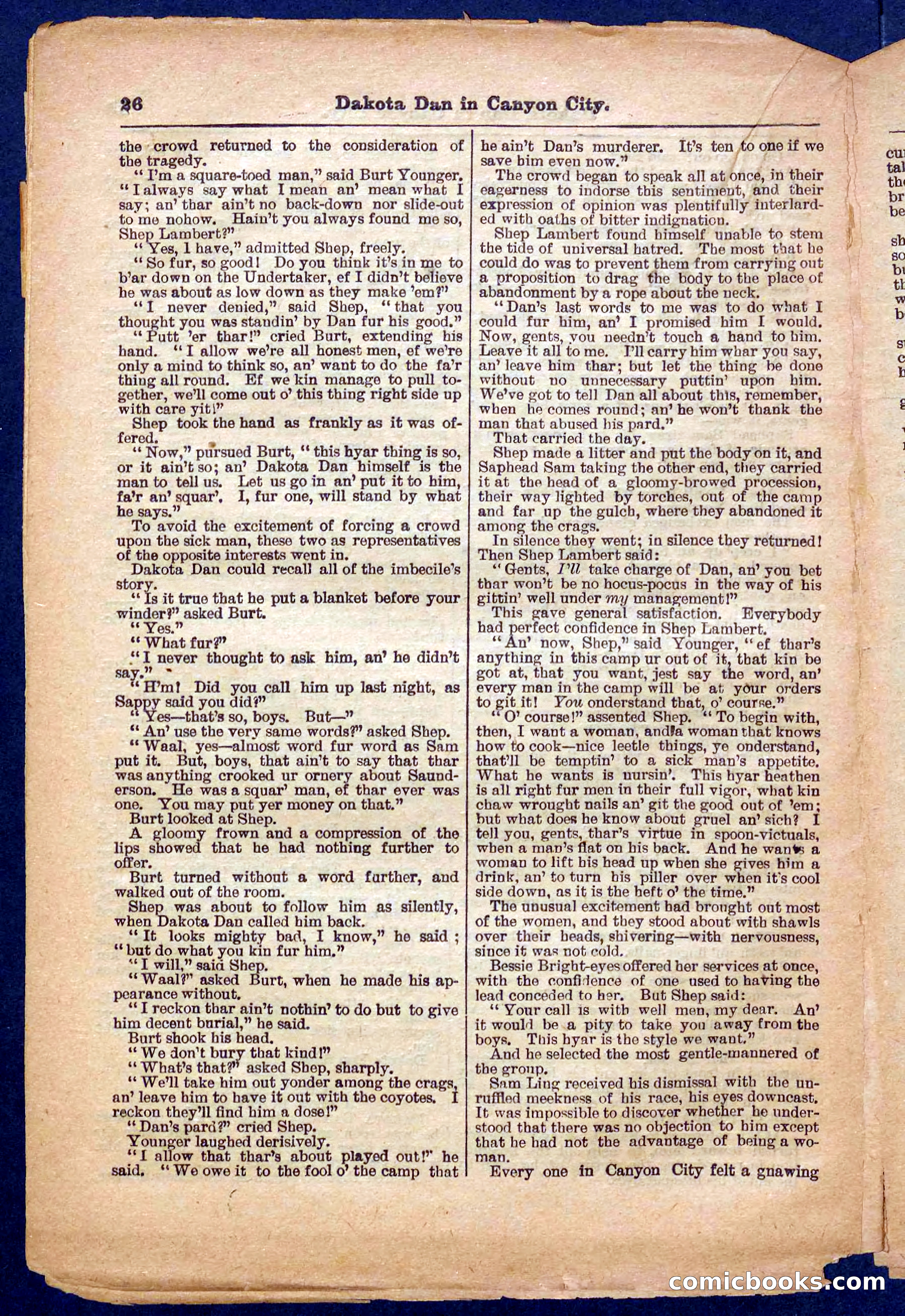 Beadle's Pocket Library No. 332 — page 26 of 32