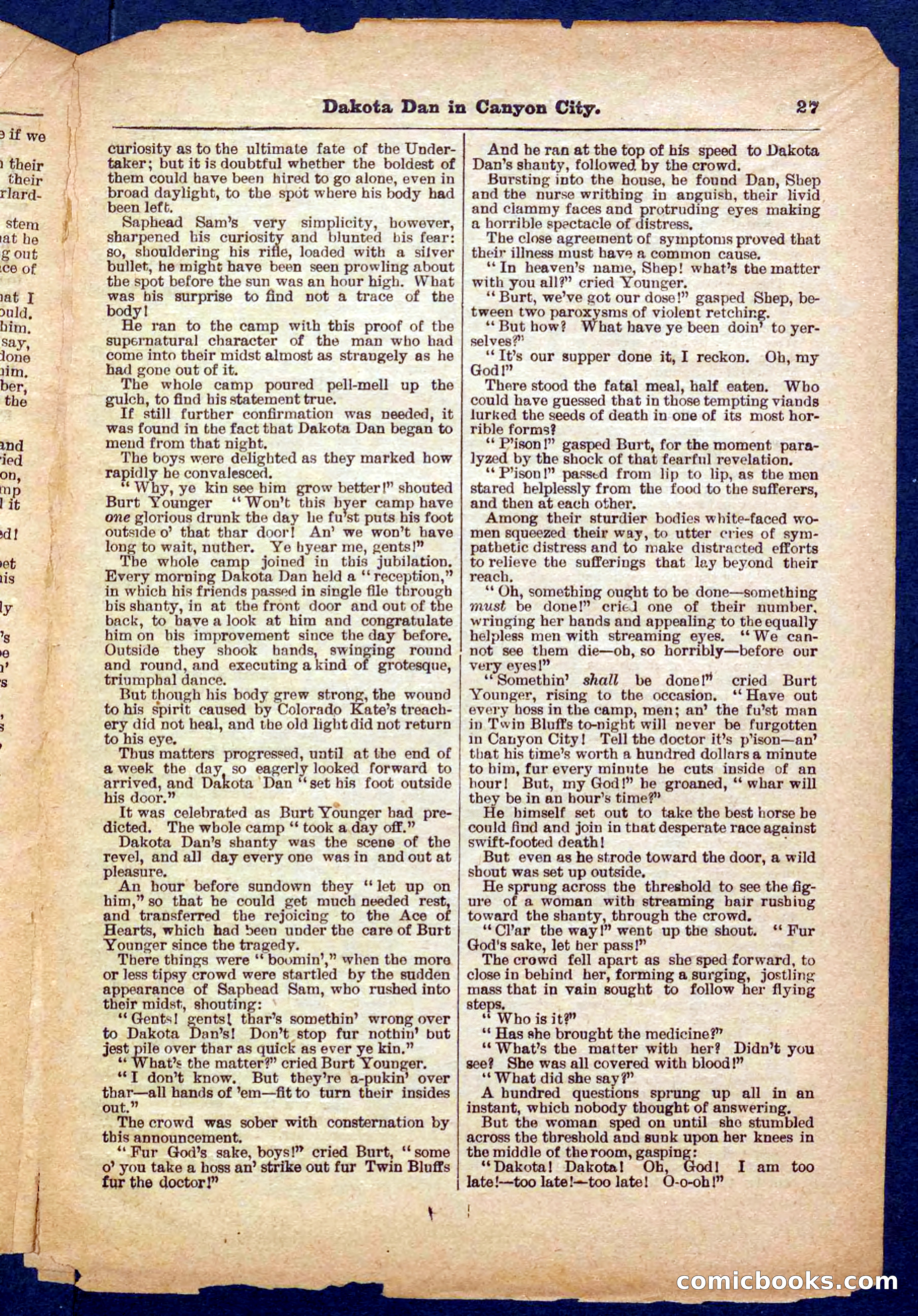 Beadle's Pocket Library No. 332 — page 27 of 32