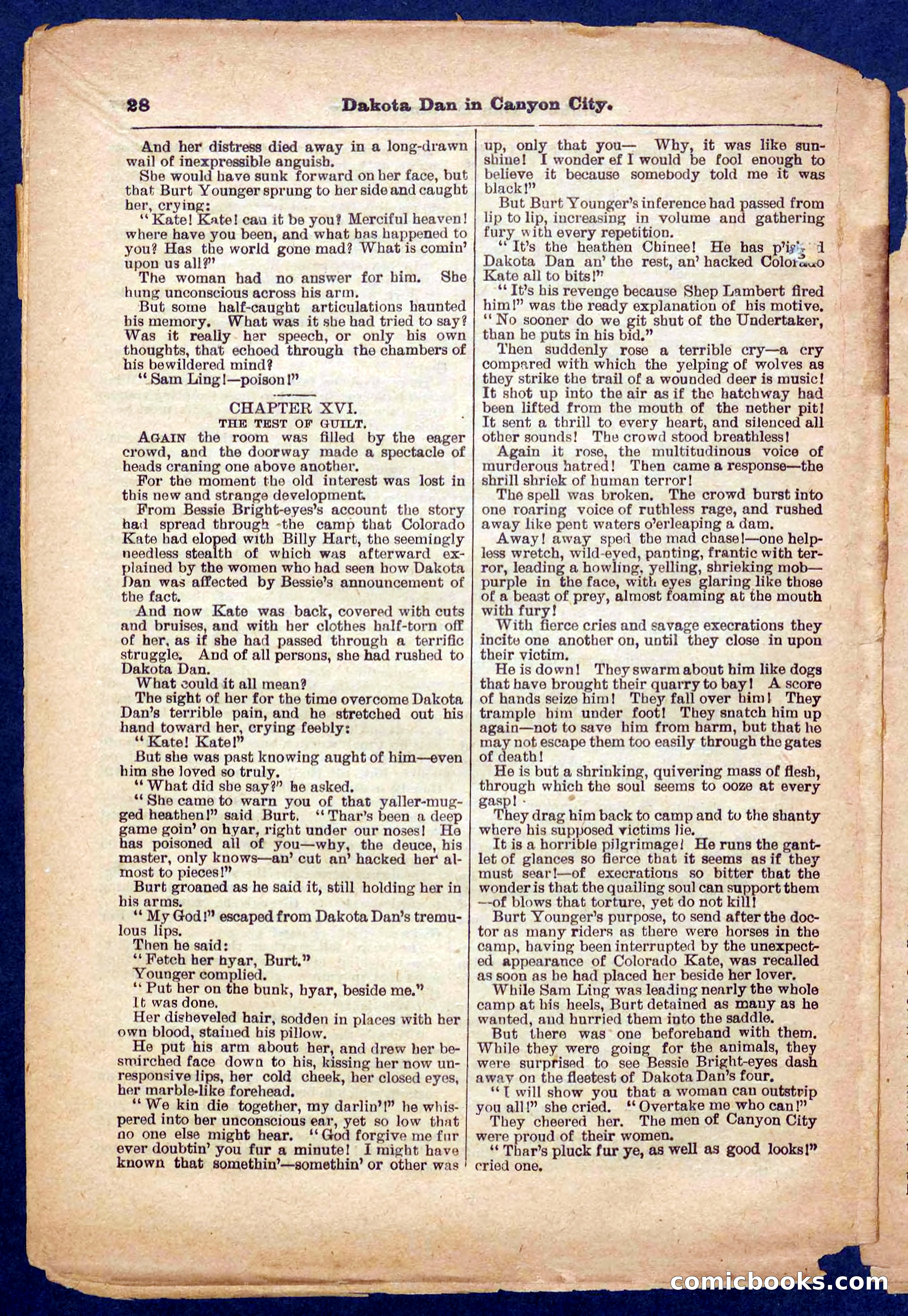 Beadle's Pocket Library No. 332 — page 28 of 32