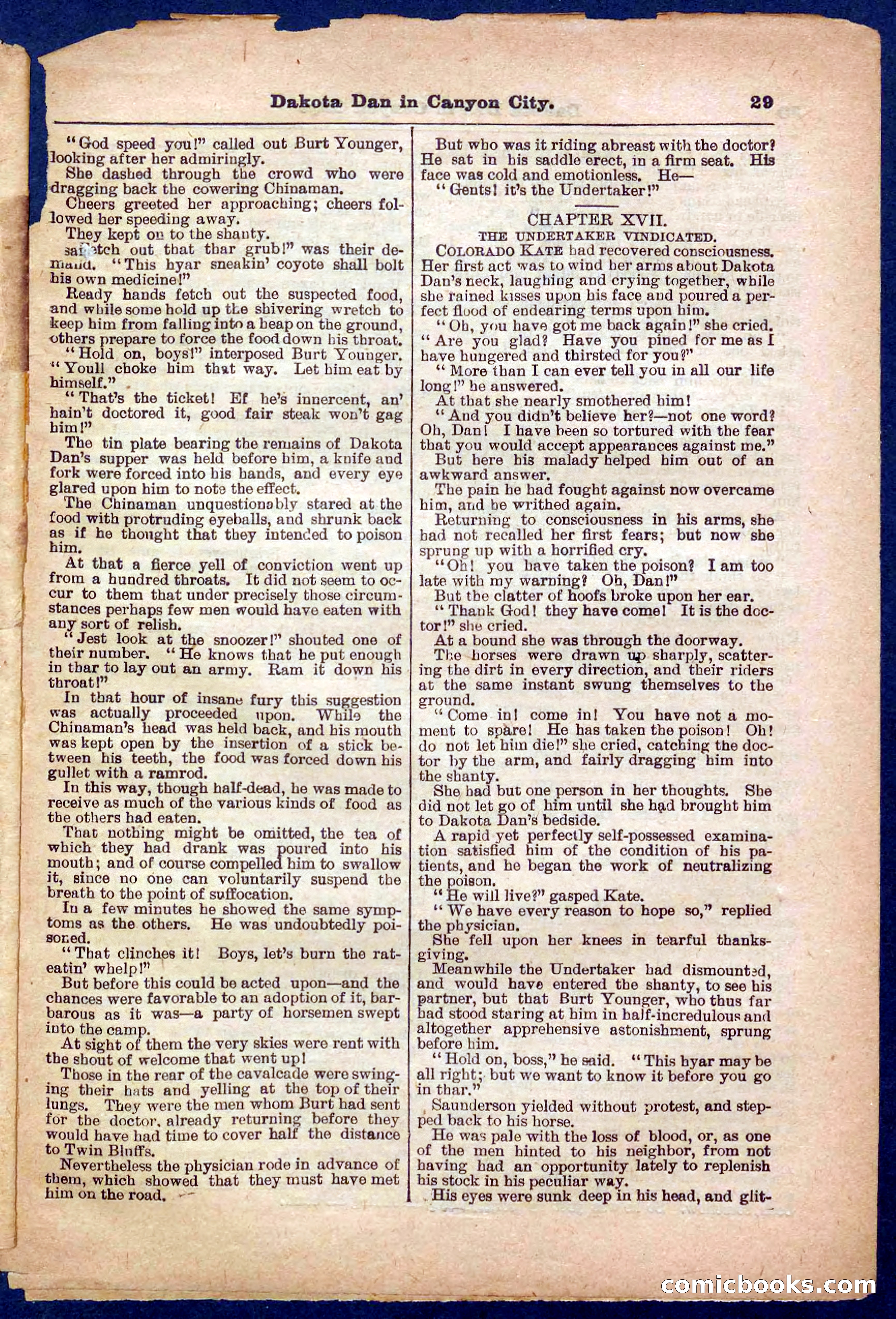 Beadle's Pocket Library No. 332 — page 29 of 32