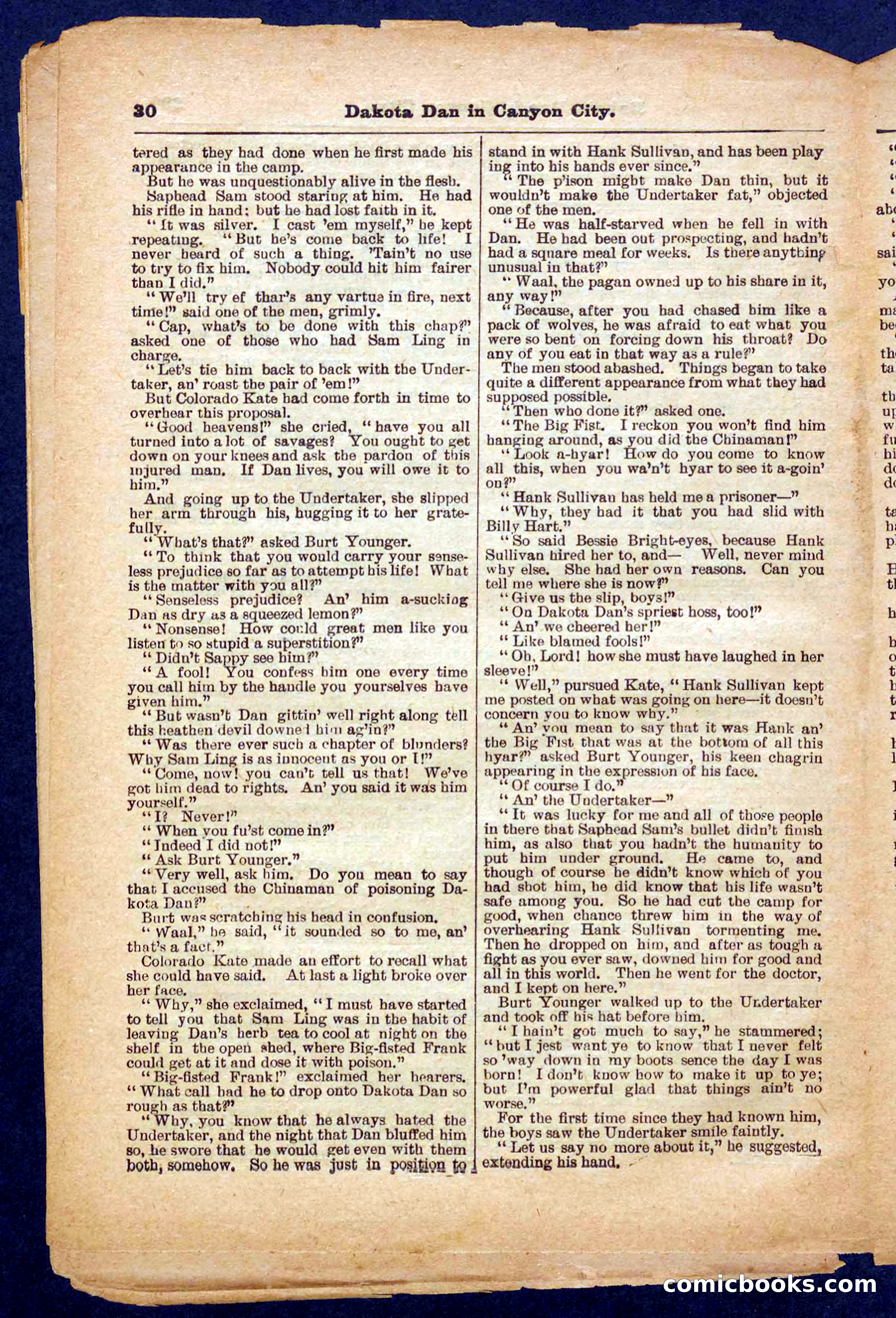 Beadle's Pocket Library No. 332 — page 30 of 32