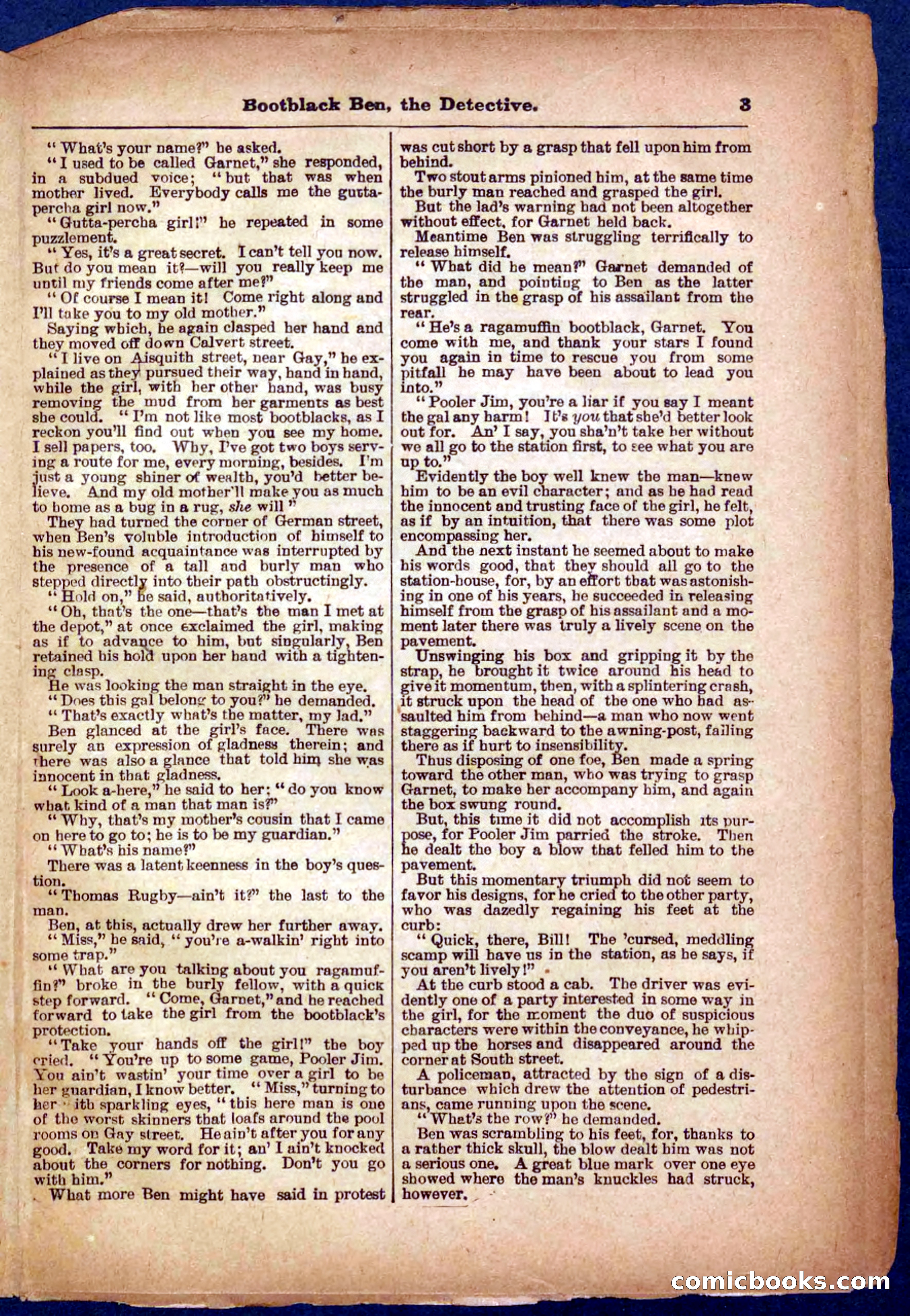 Beadle's Pocket Library No. 333 — page 3 of 32