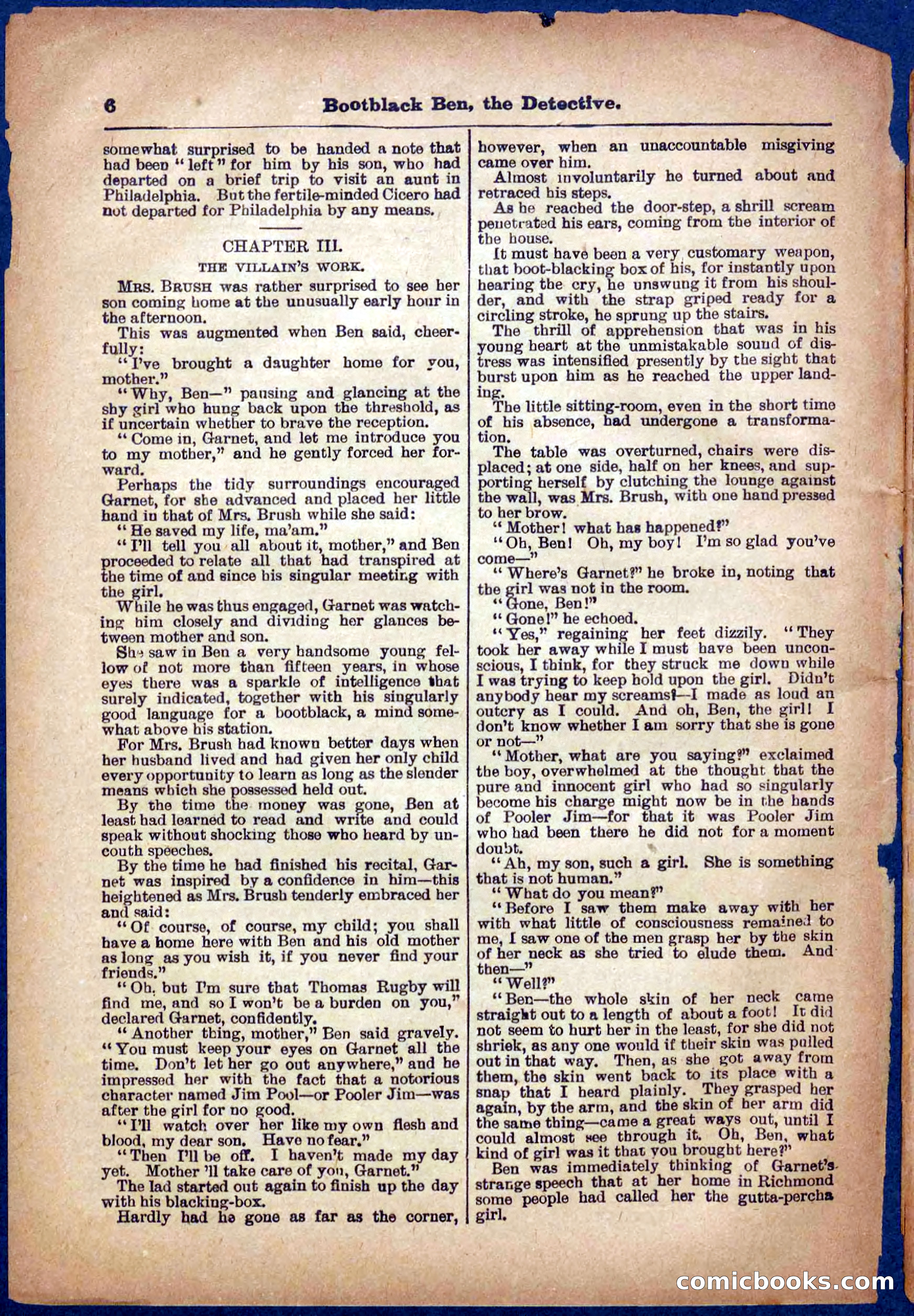 Beadle's Pocket Library No. 333 — page 6 of 32