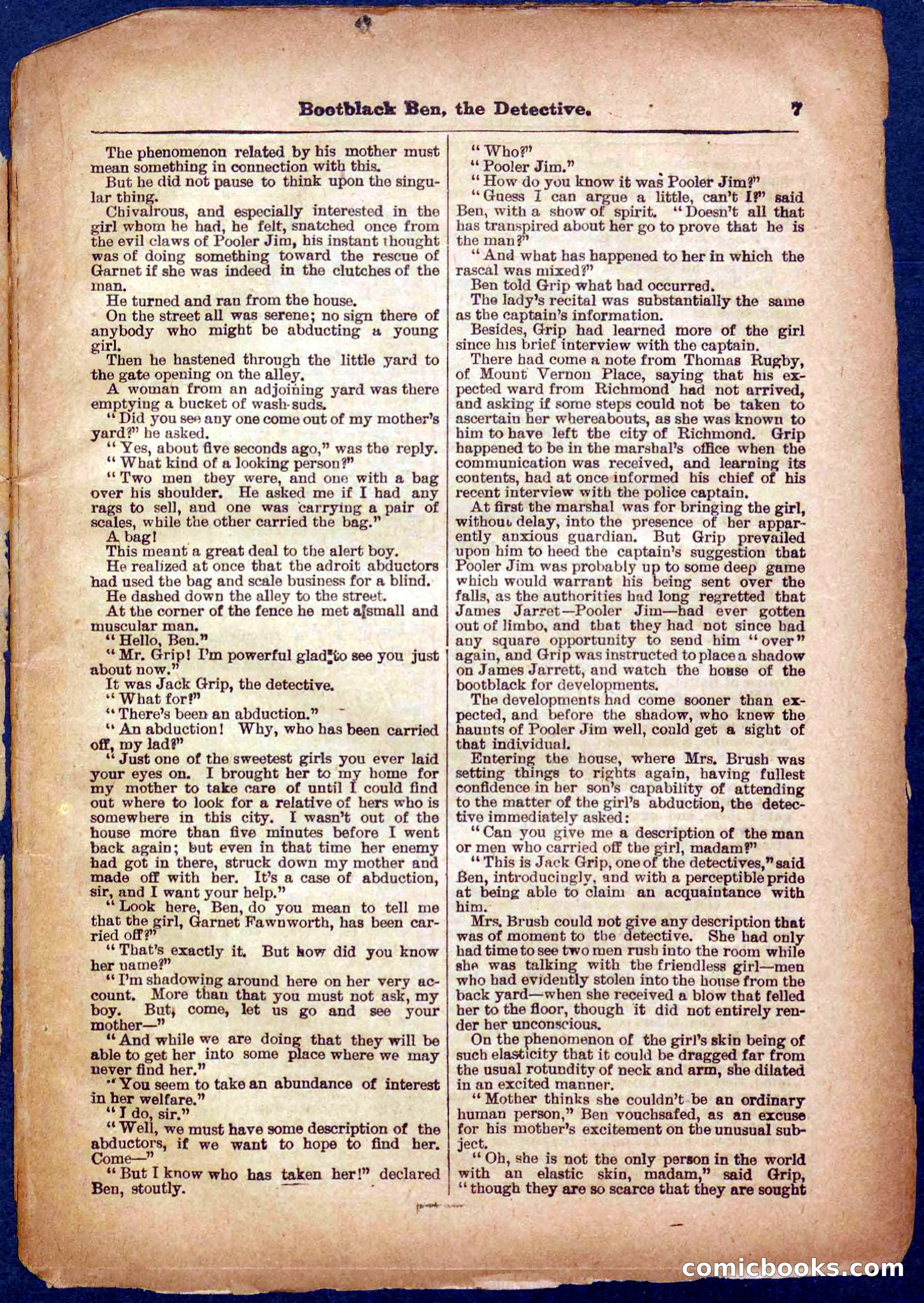 Beadle's Pocket Library No. 333 — page 7 of 32