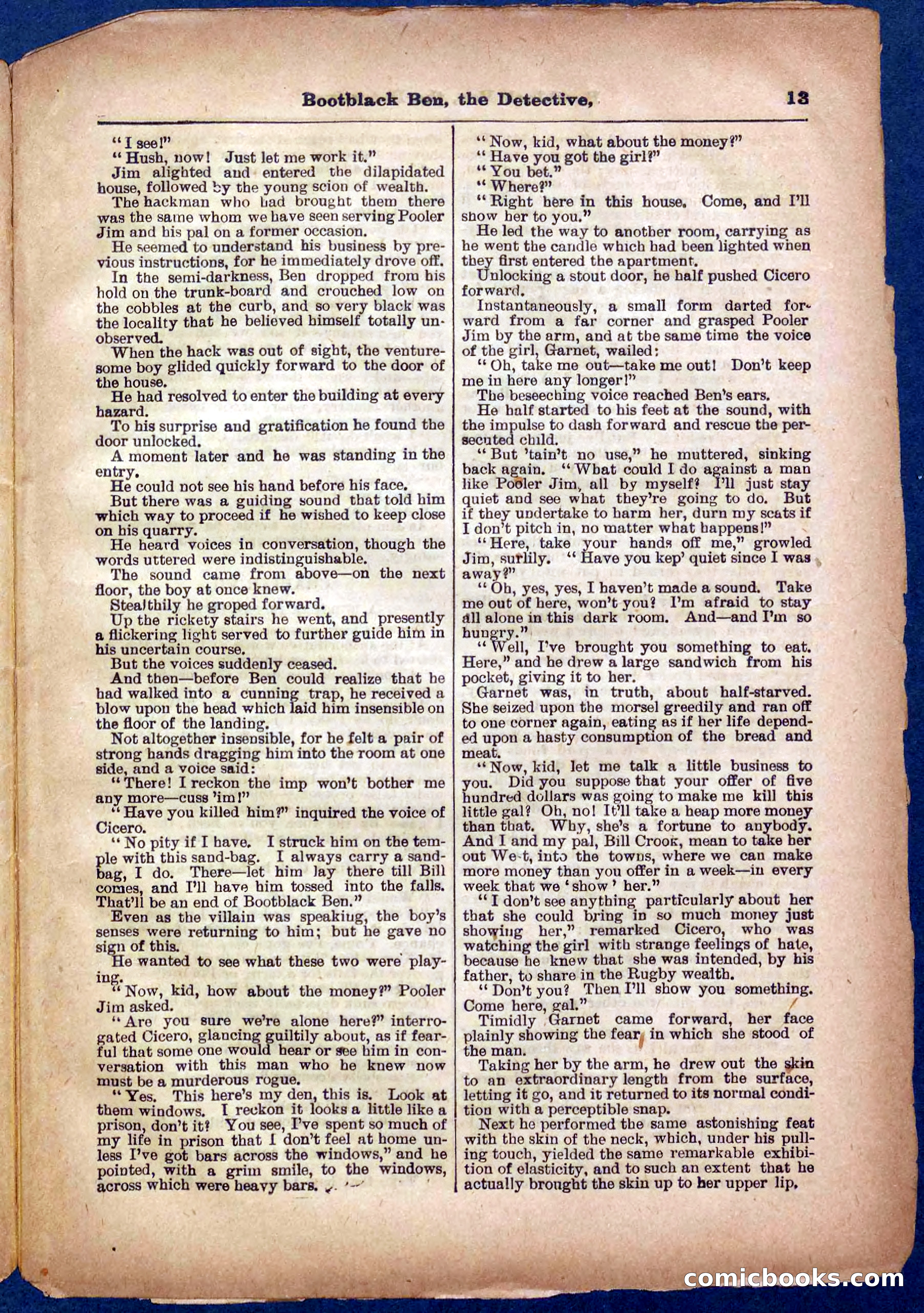 Beadle's Pocket Library No. 333 — page 13 of 32