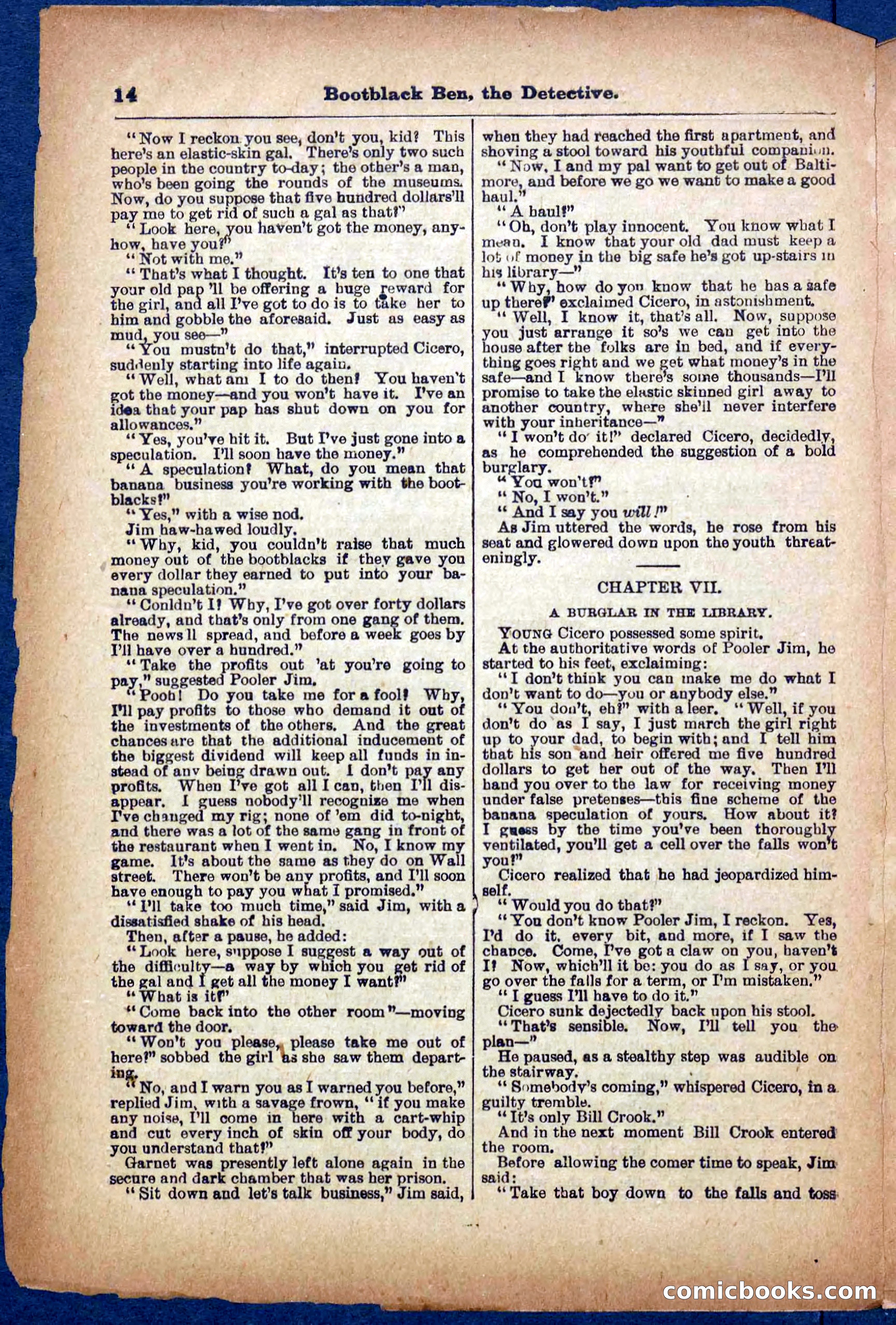 Beadle's Pocket Library No. 333 — page 14 of 32