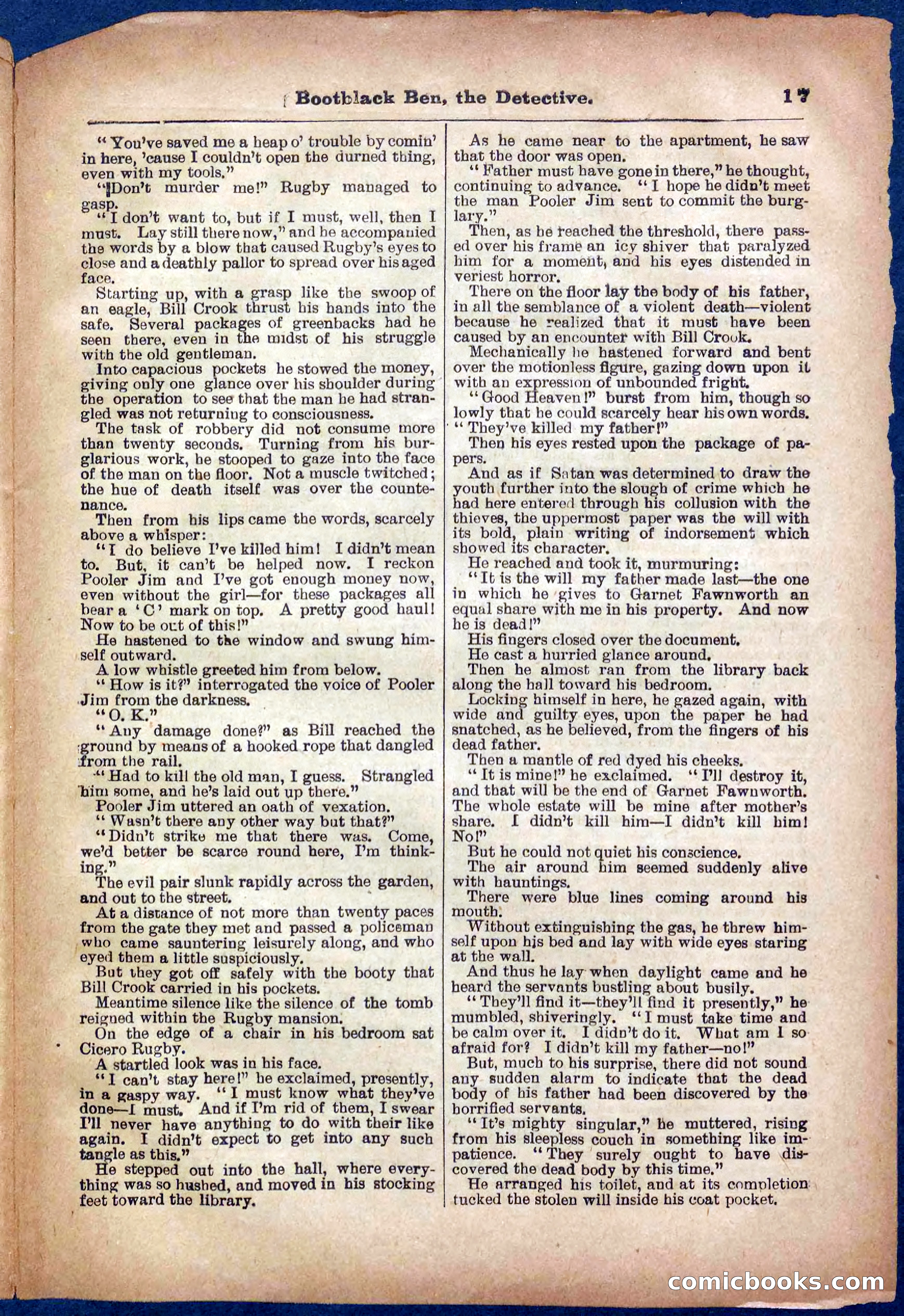 Beadle's Pocket Library No. 333 — page 17 of 32