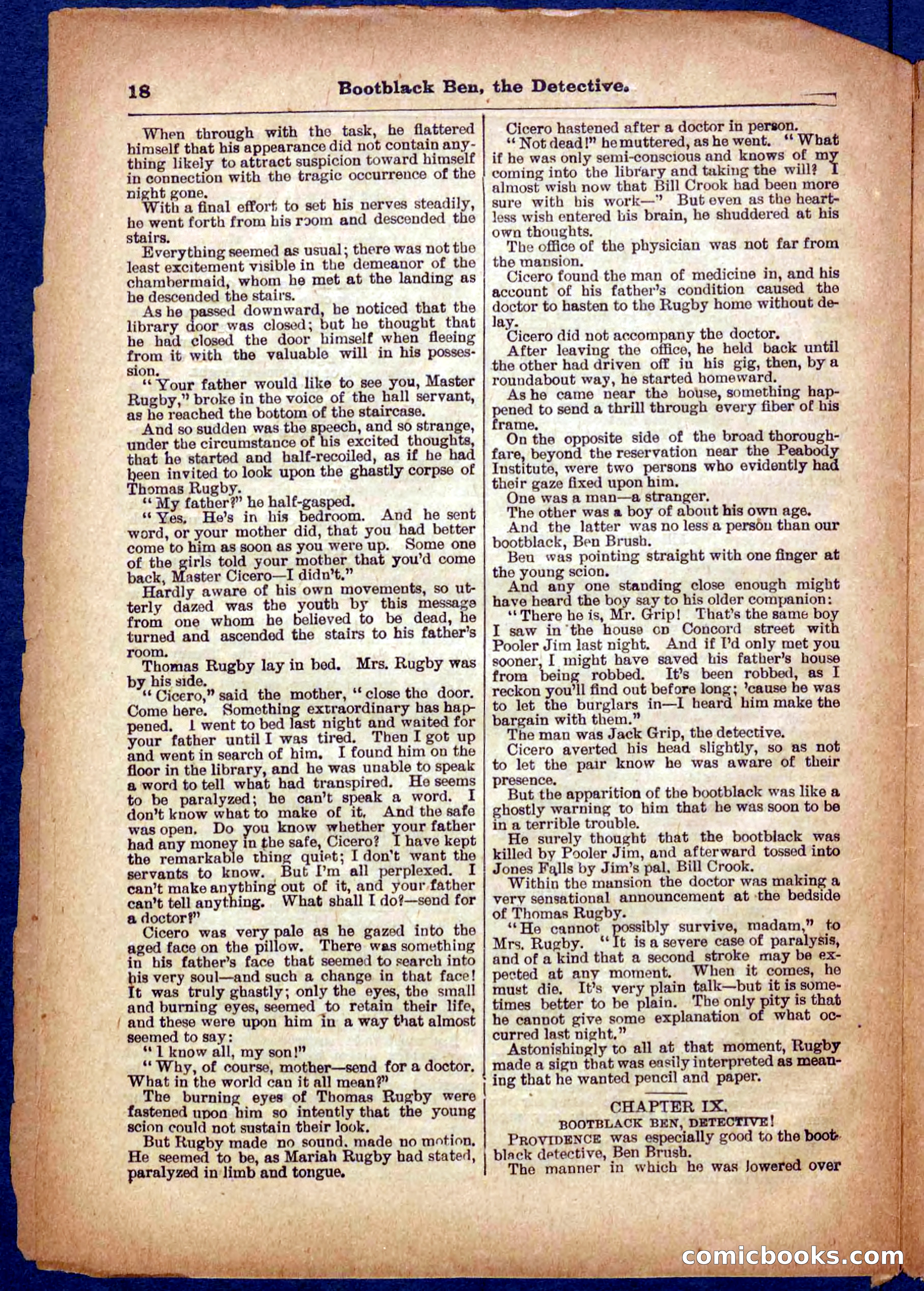 Beadle's Pocket Library No. 333 — page 18 of 32