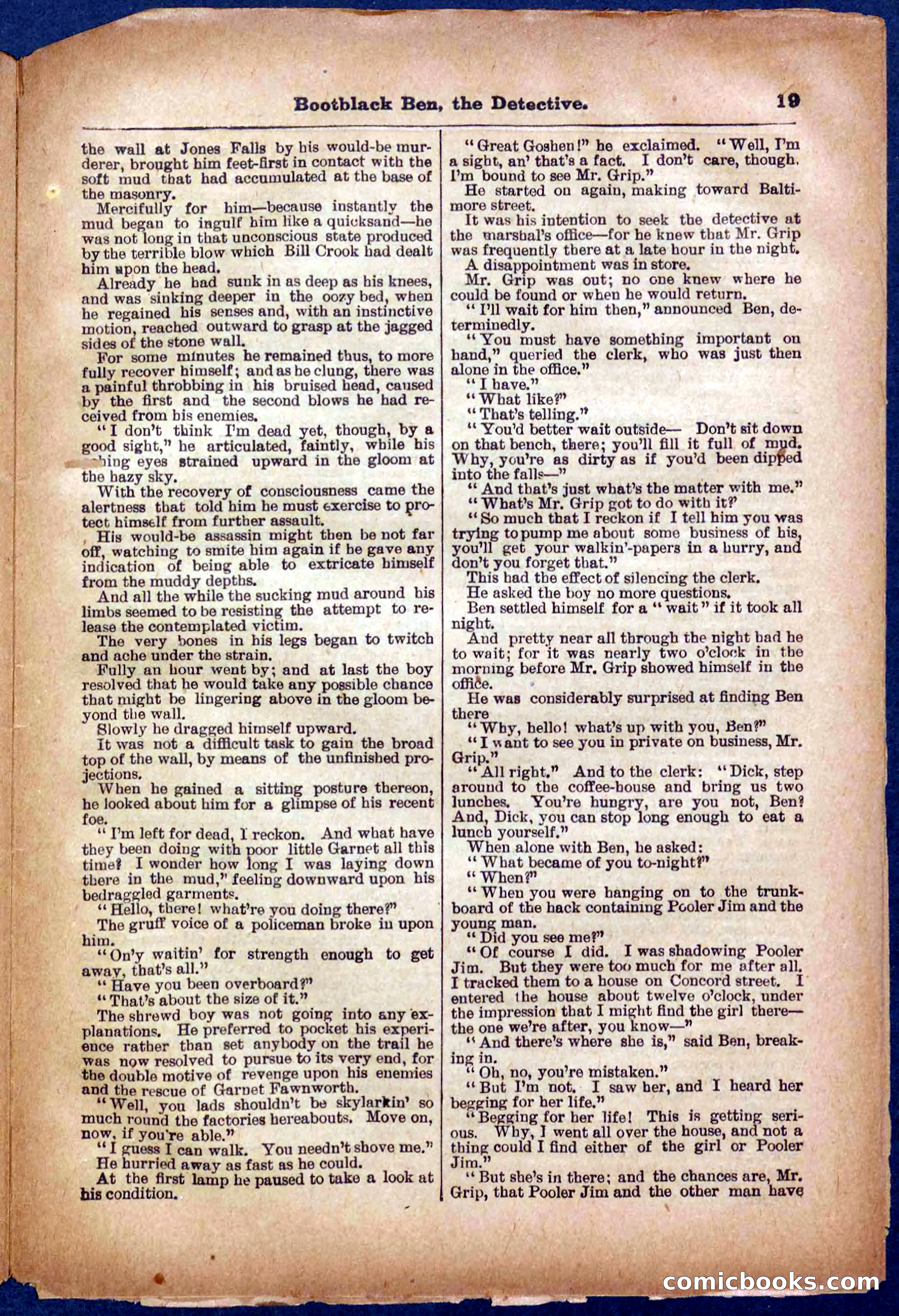 Beadle's Pocket Library No. 333 — page 19 of 32