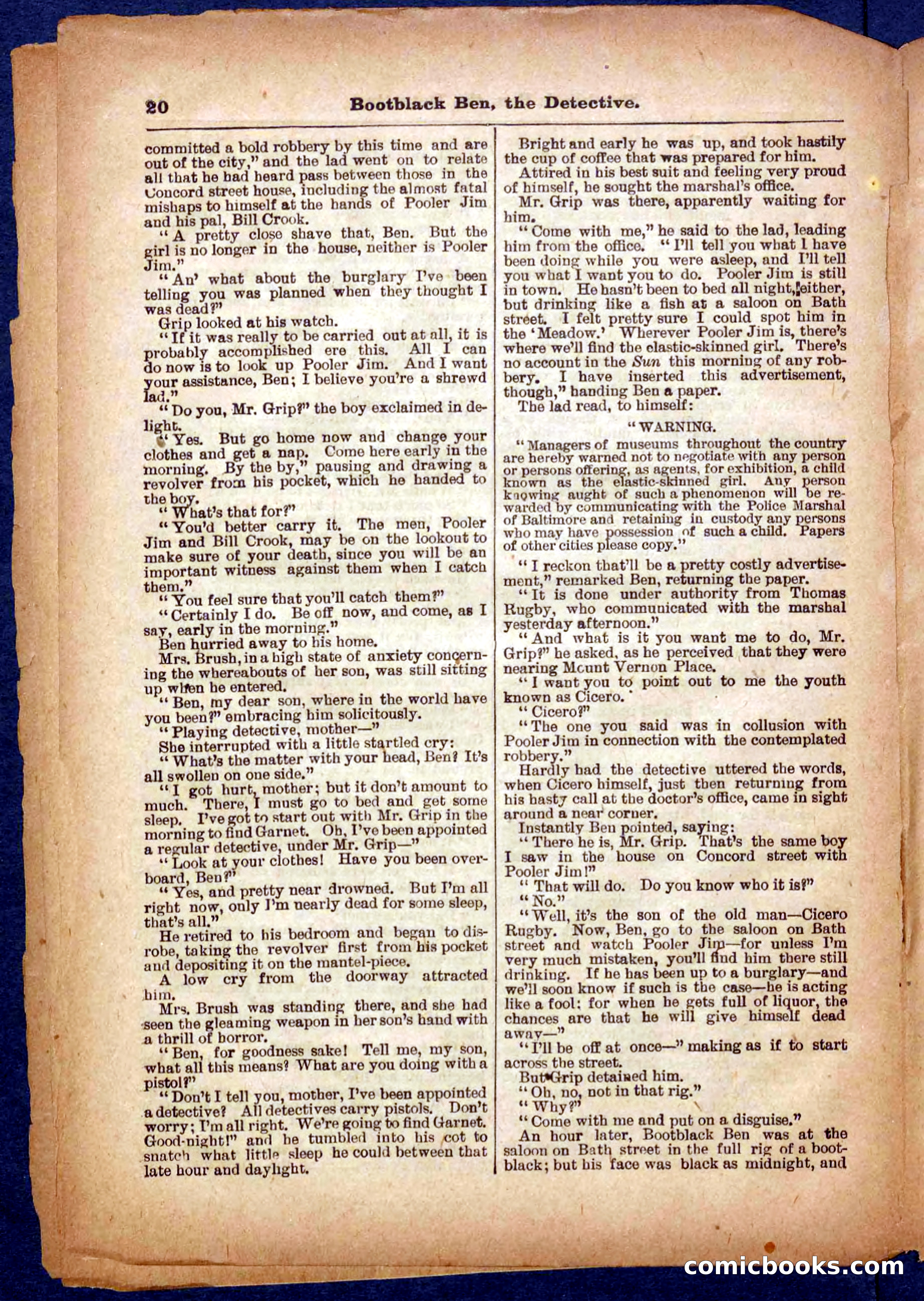 Beadle's Pocket Library No. 333 — page 20 of 32
