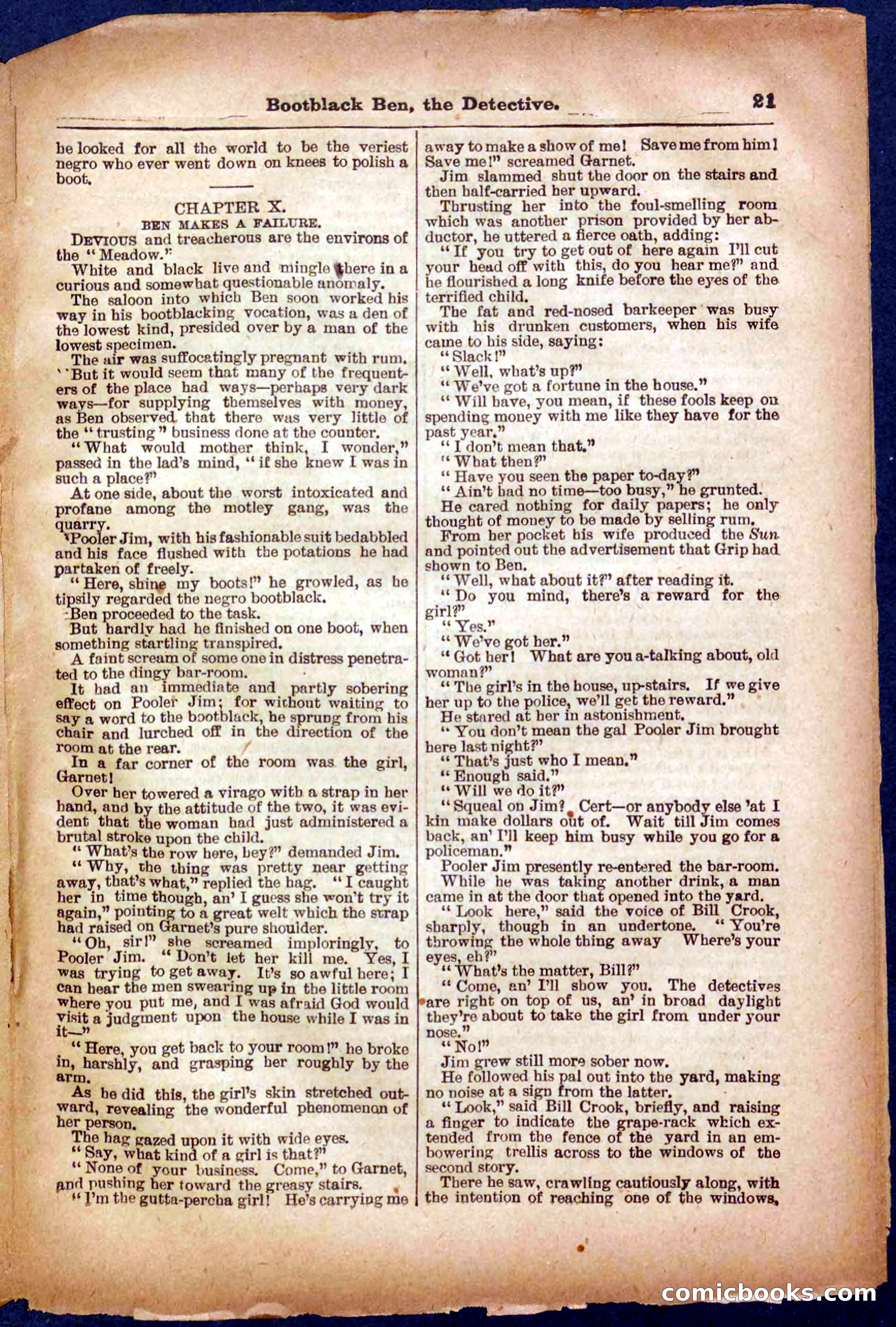 Beadle's Pocket Library No. 333 — page 21 of 32
