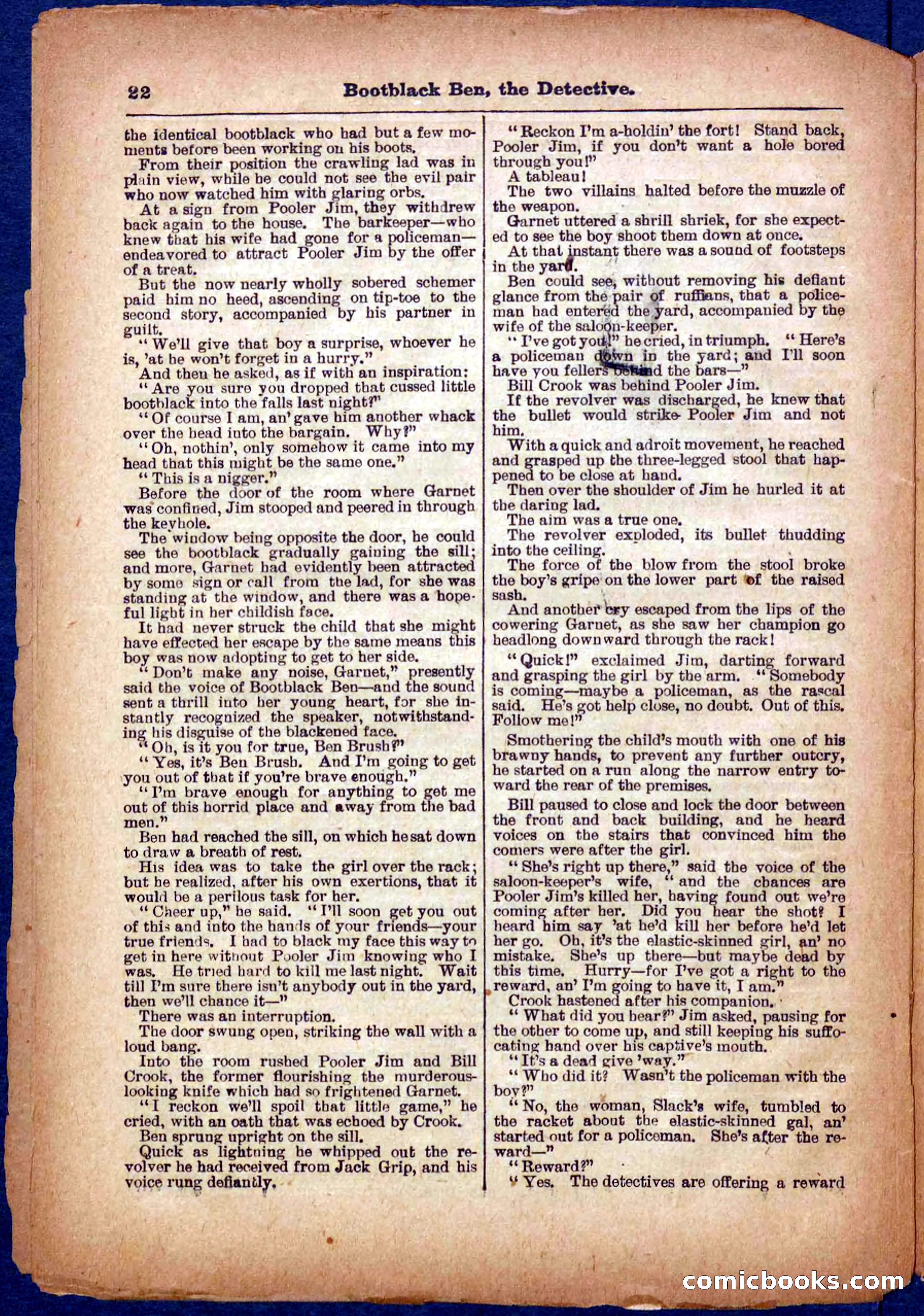 Beadle's Pocket Library No. 333 — page 22 of 32