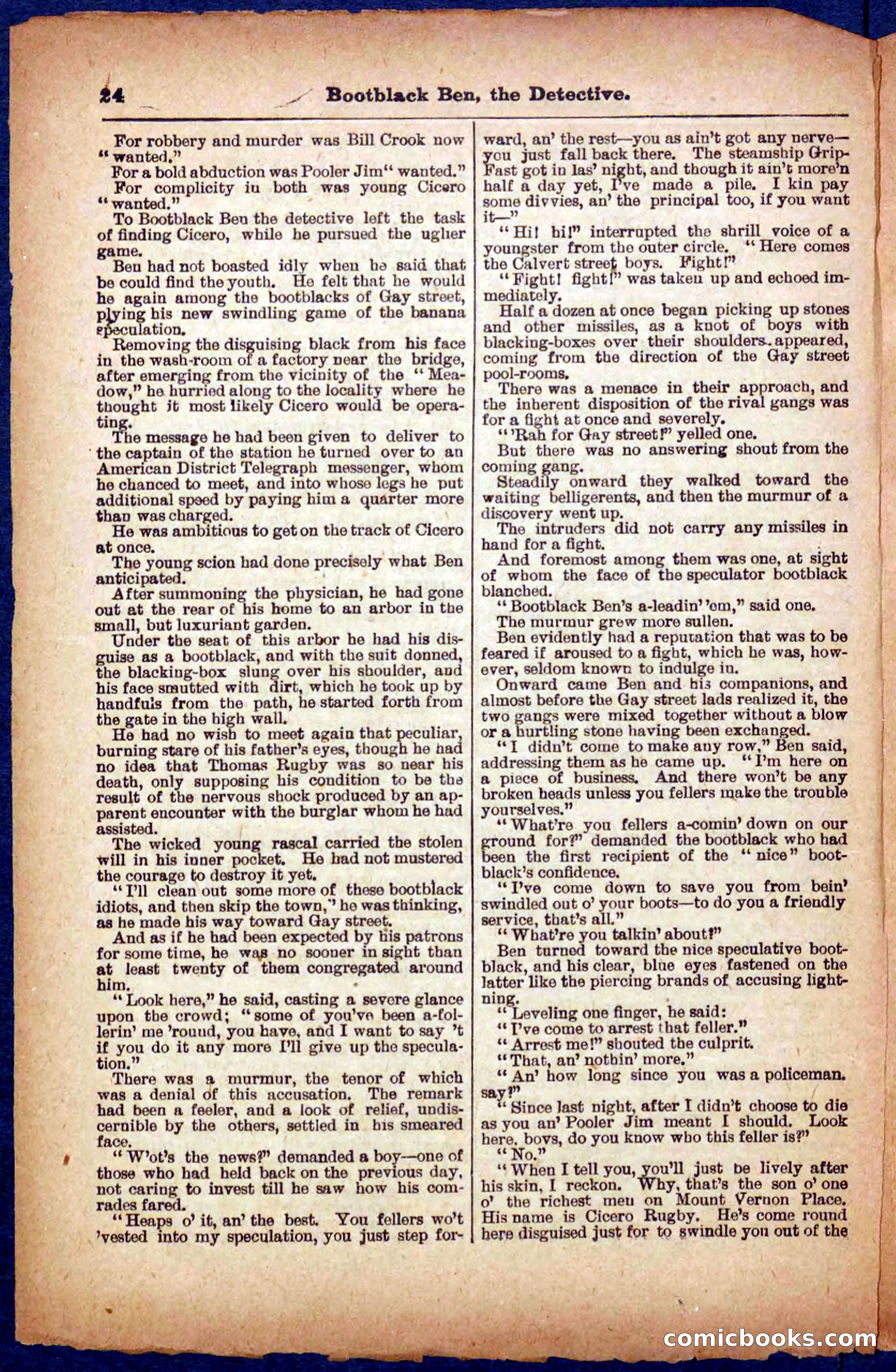 Beadle's Pocket Library No. 333 — page 24 of 32