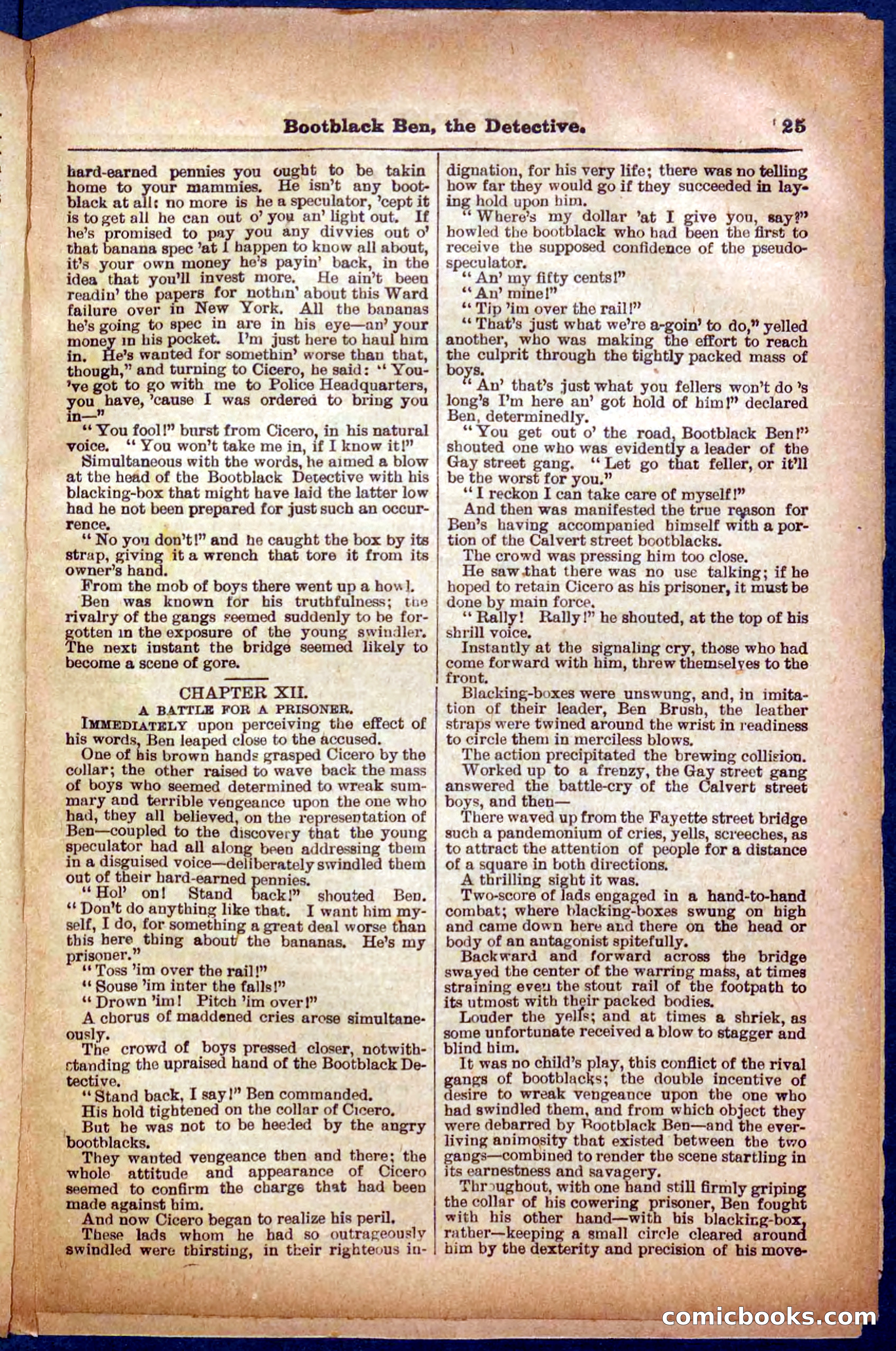 Beadle's Pocket Library No. 333 — page 25 of 32