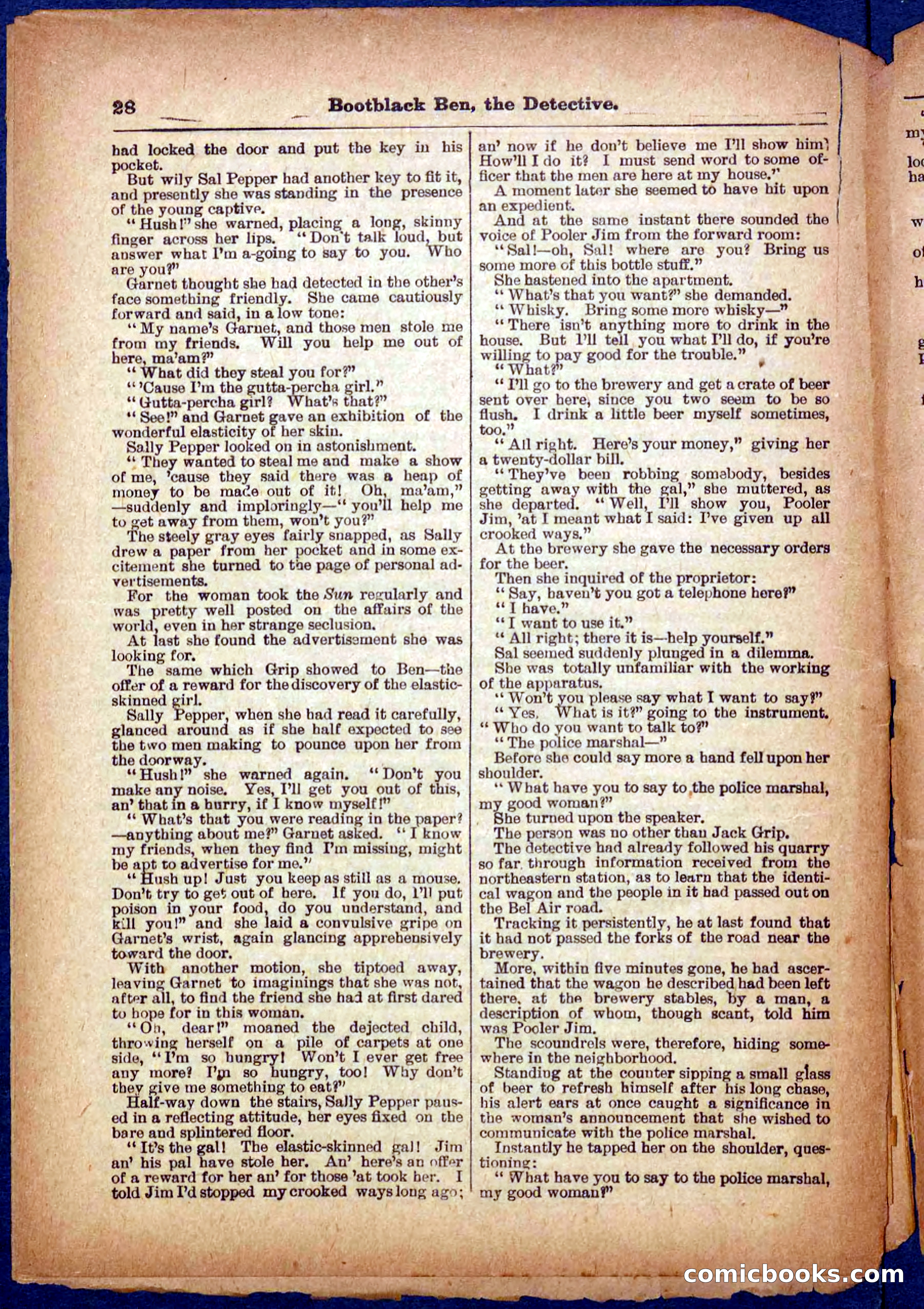 Beadle's Pocket Library No. 333 — page 28 of 32