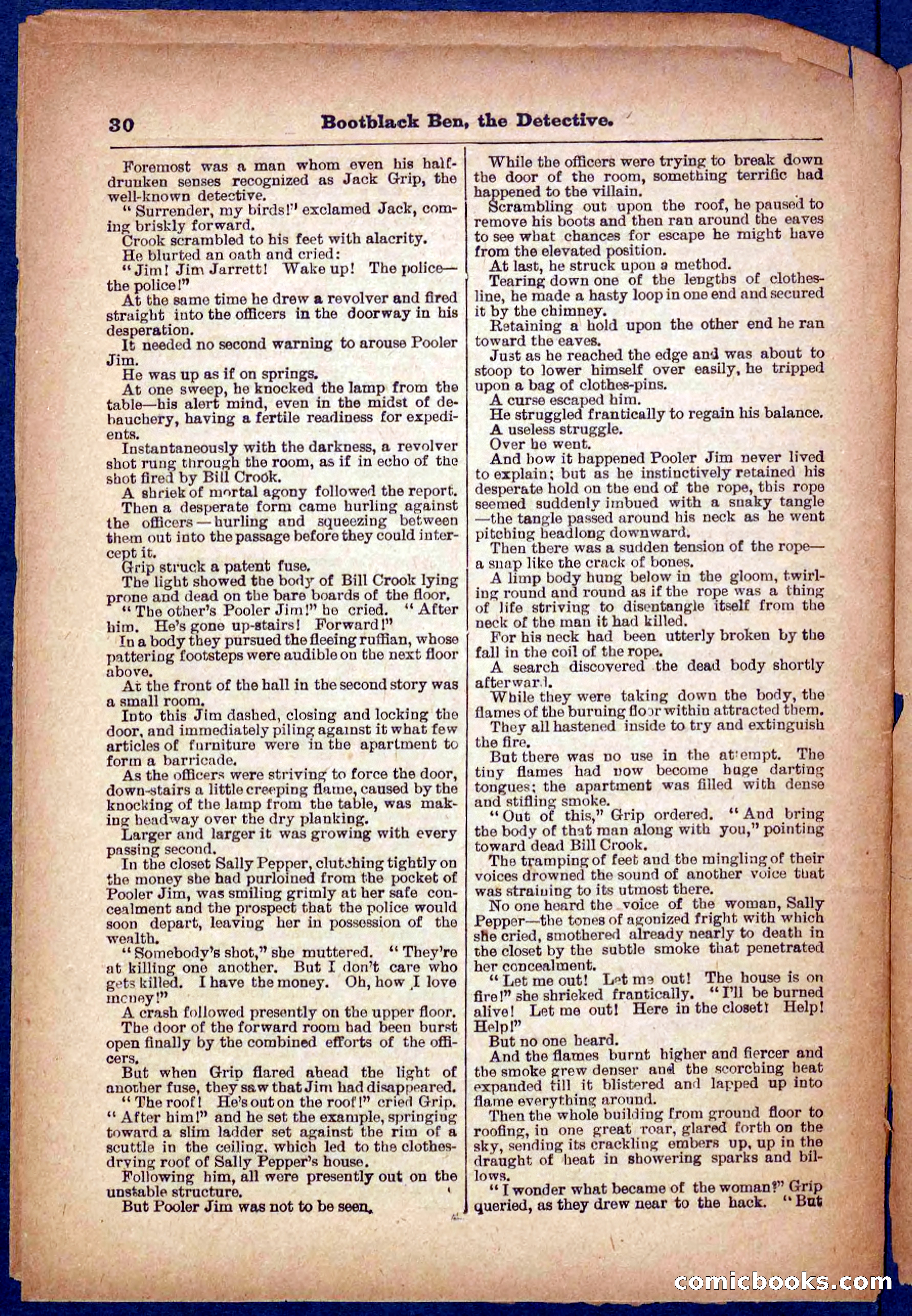 Beadle's Pocket Library No. 333 — page 30 of 32