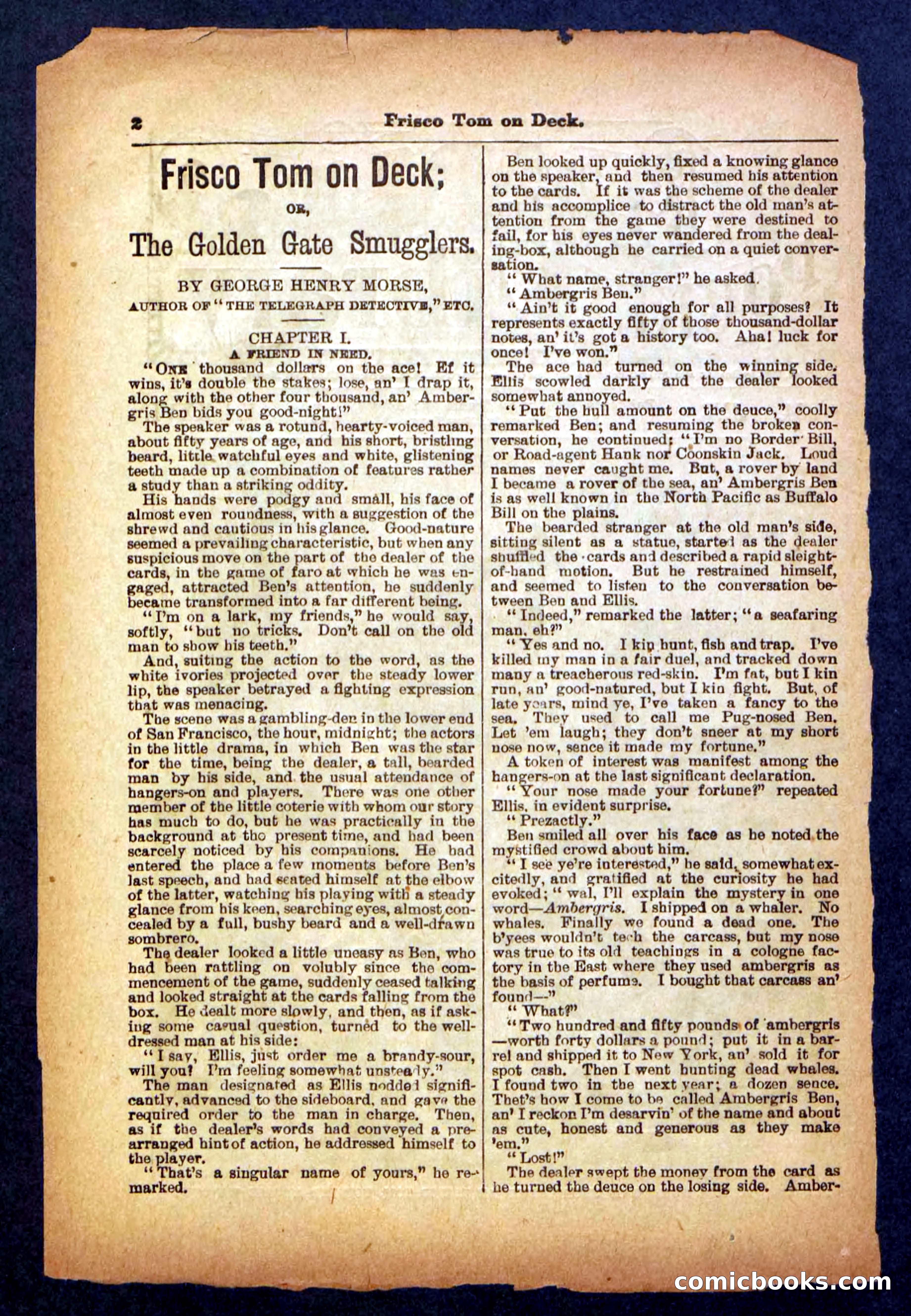 Beadle's Pocket Library No. 334 — page 2 of 32