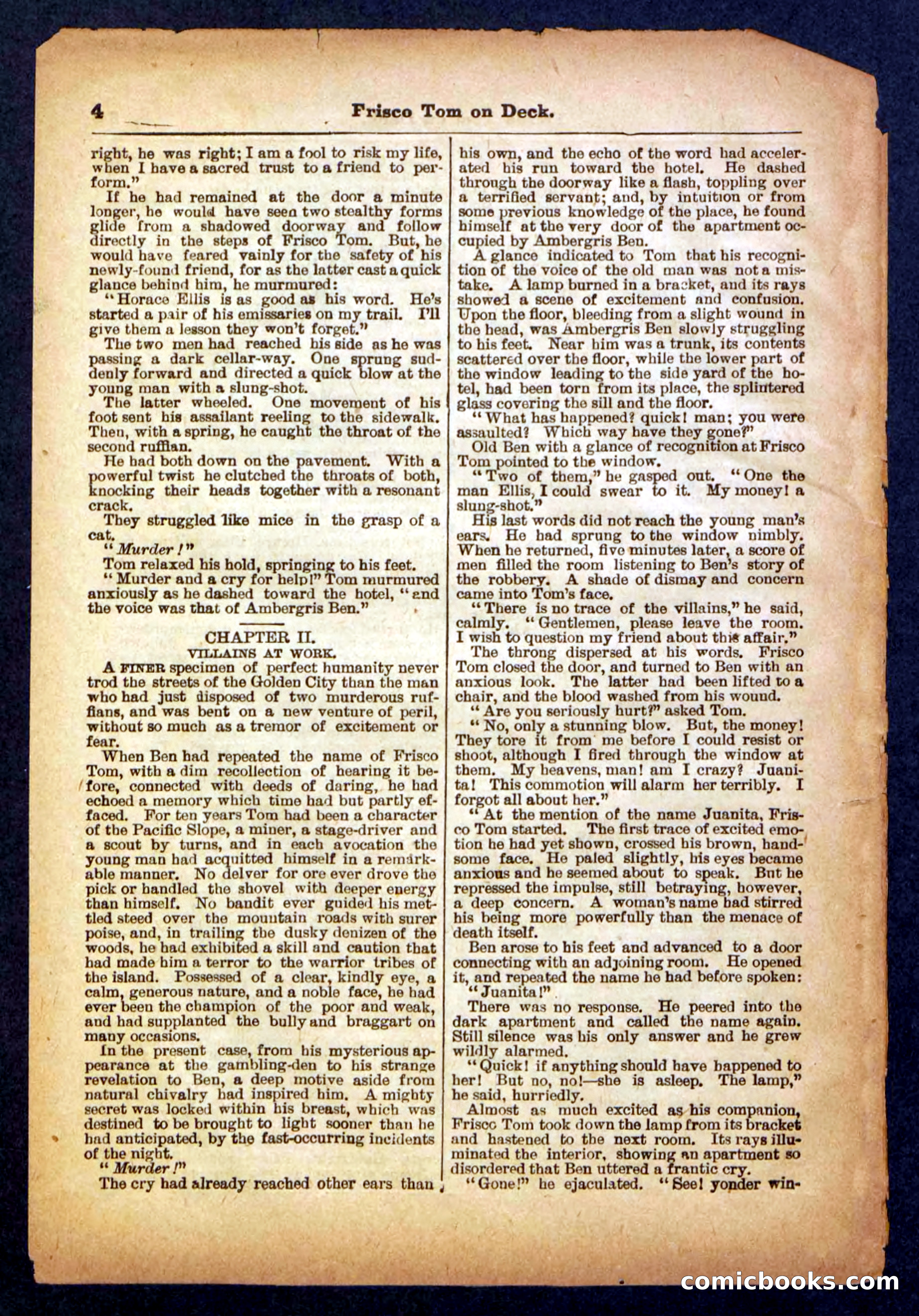 Beadle's Pocket Library No. 334 — page 4 of 32