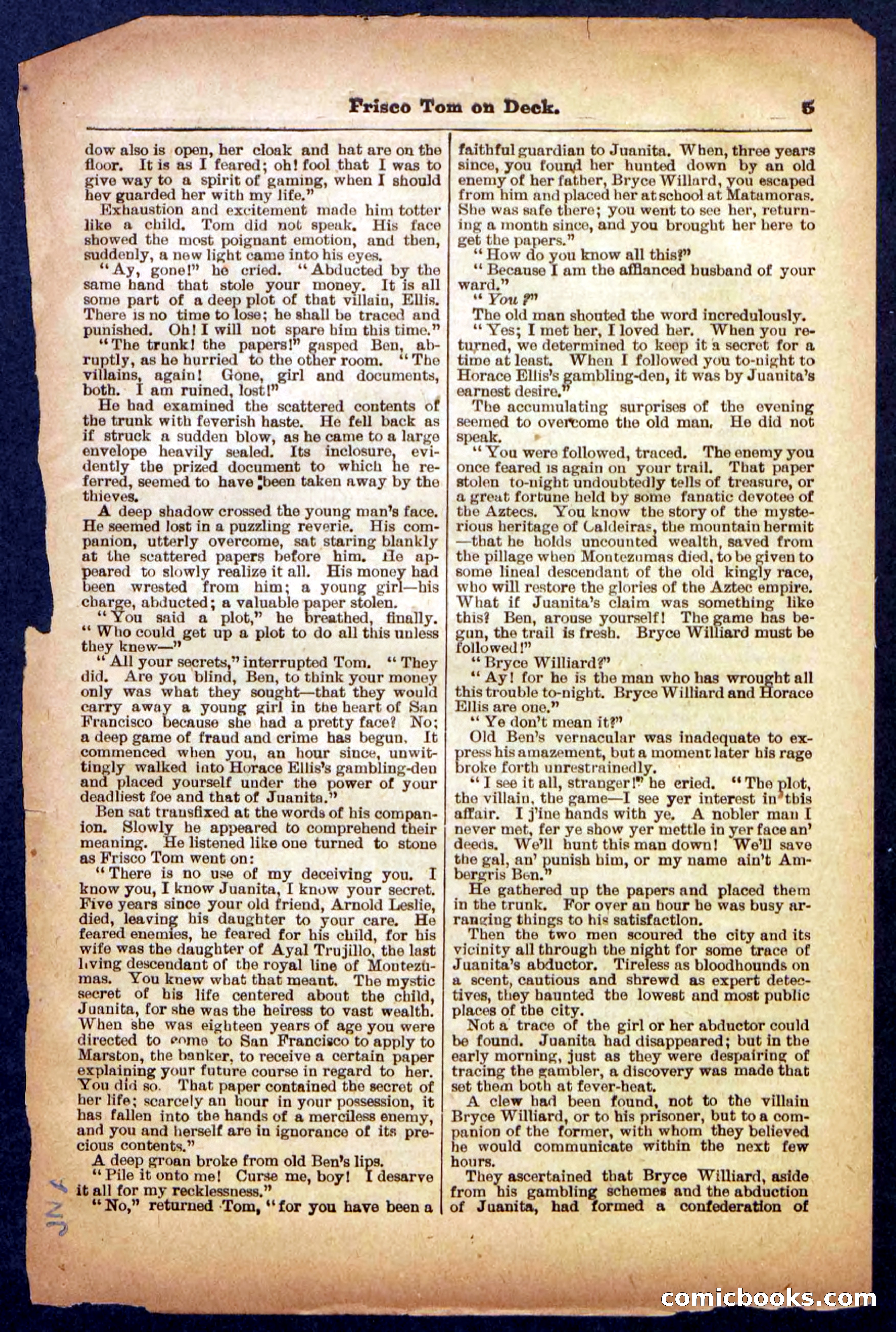 Beadle's Pocket Library No. 334 — page 5 of 32