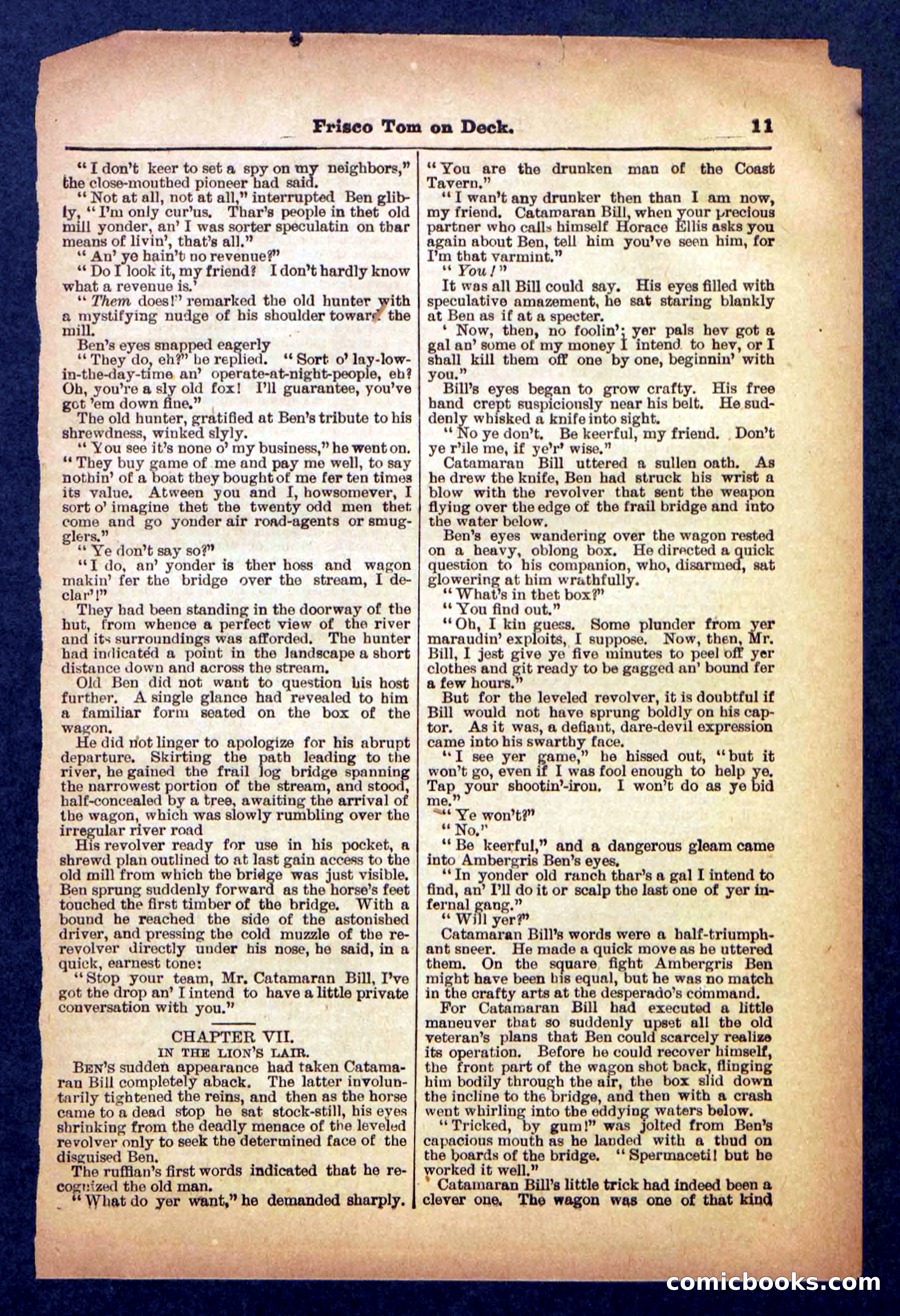 Beadle's Pocket Library No. 334 — page 11 of 32