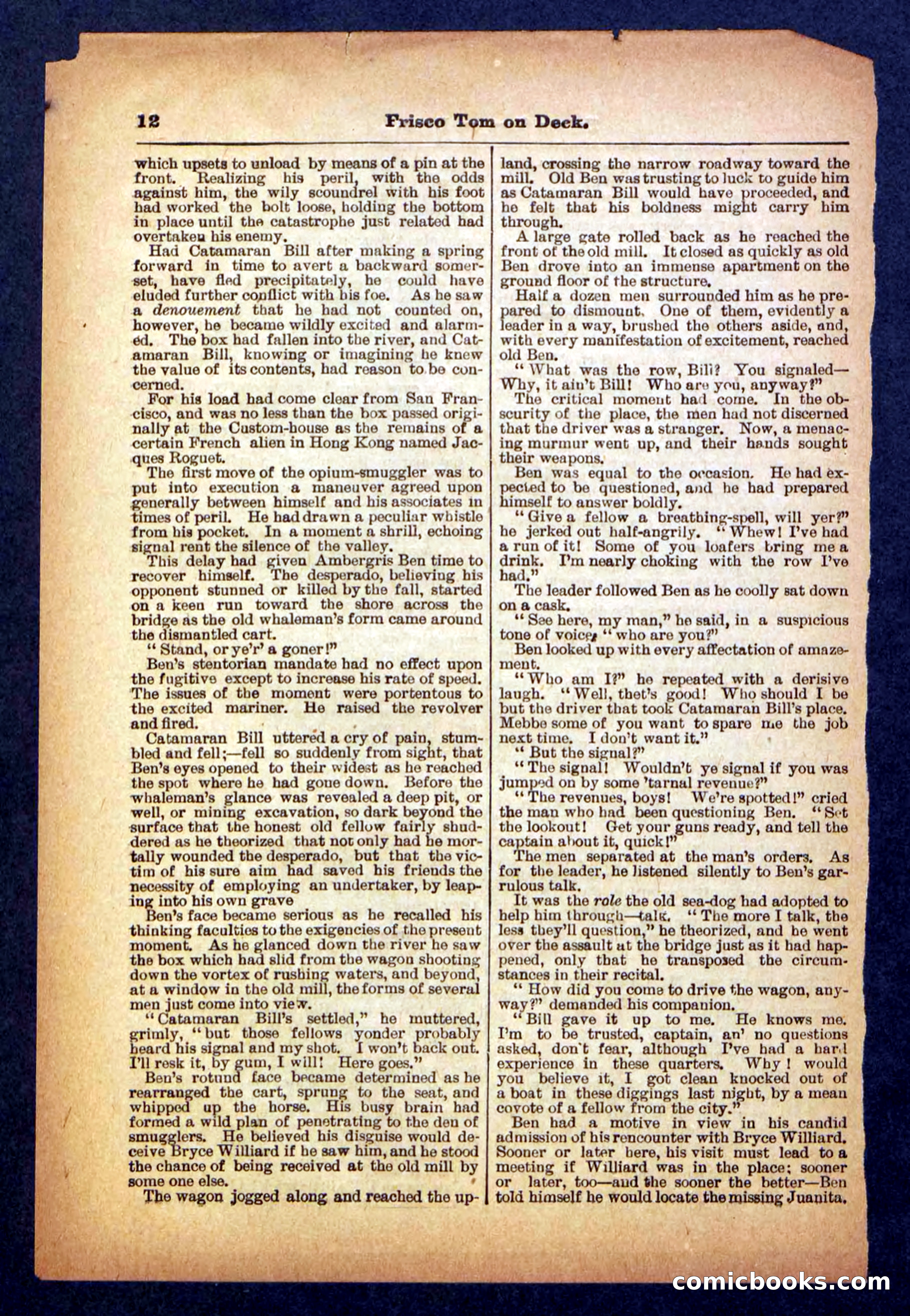 Beadle's Pocket Library No. 334 — page 12 of 32