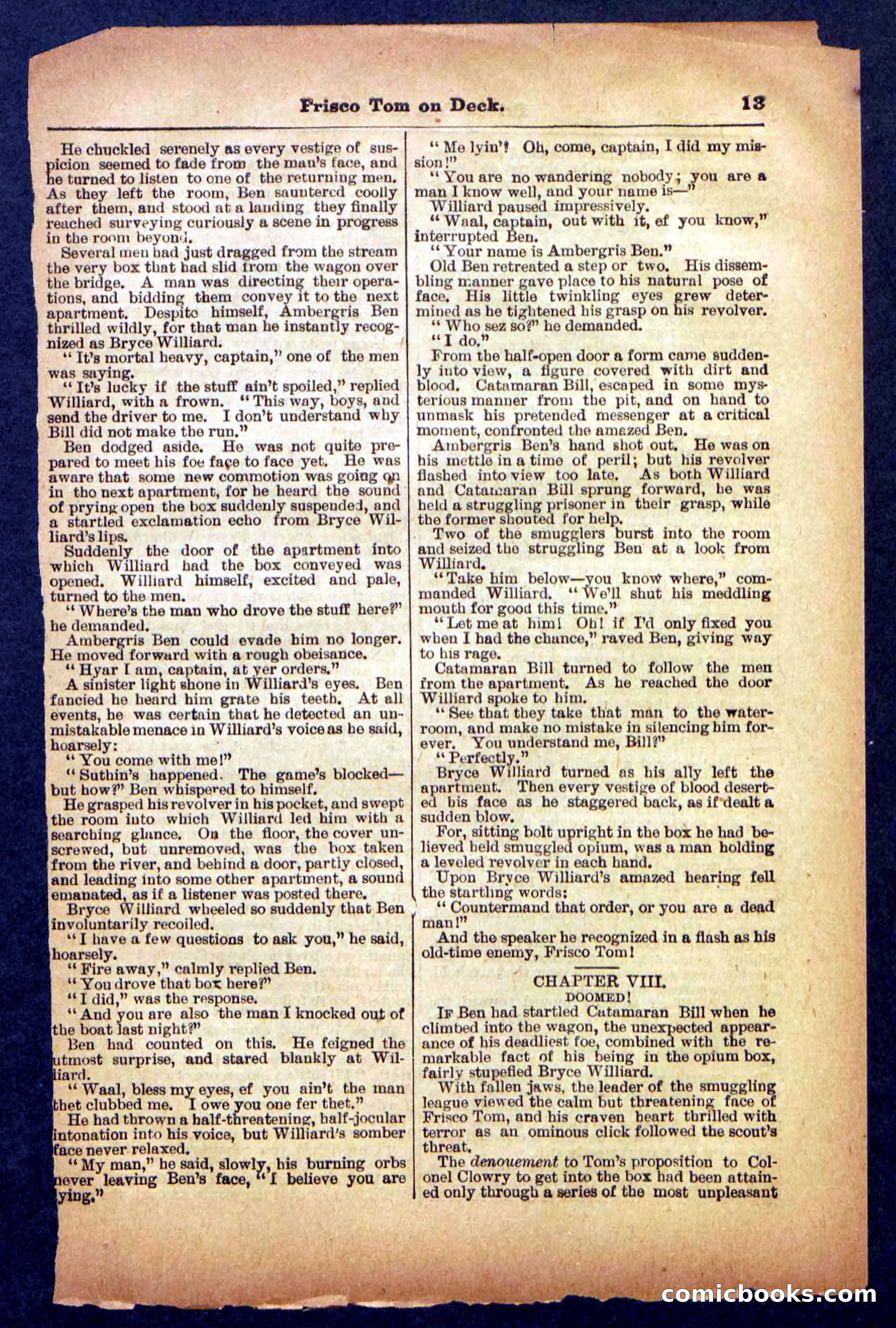Beadle's Pocket Library No. 334 — page 13 of 32