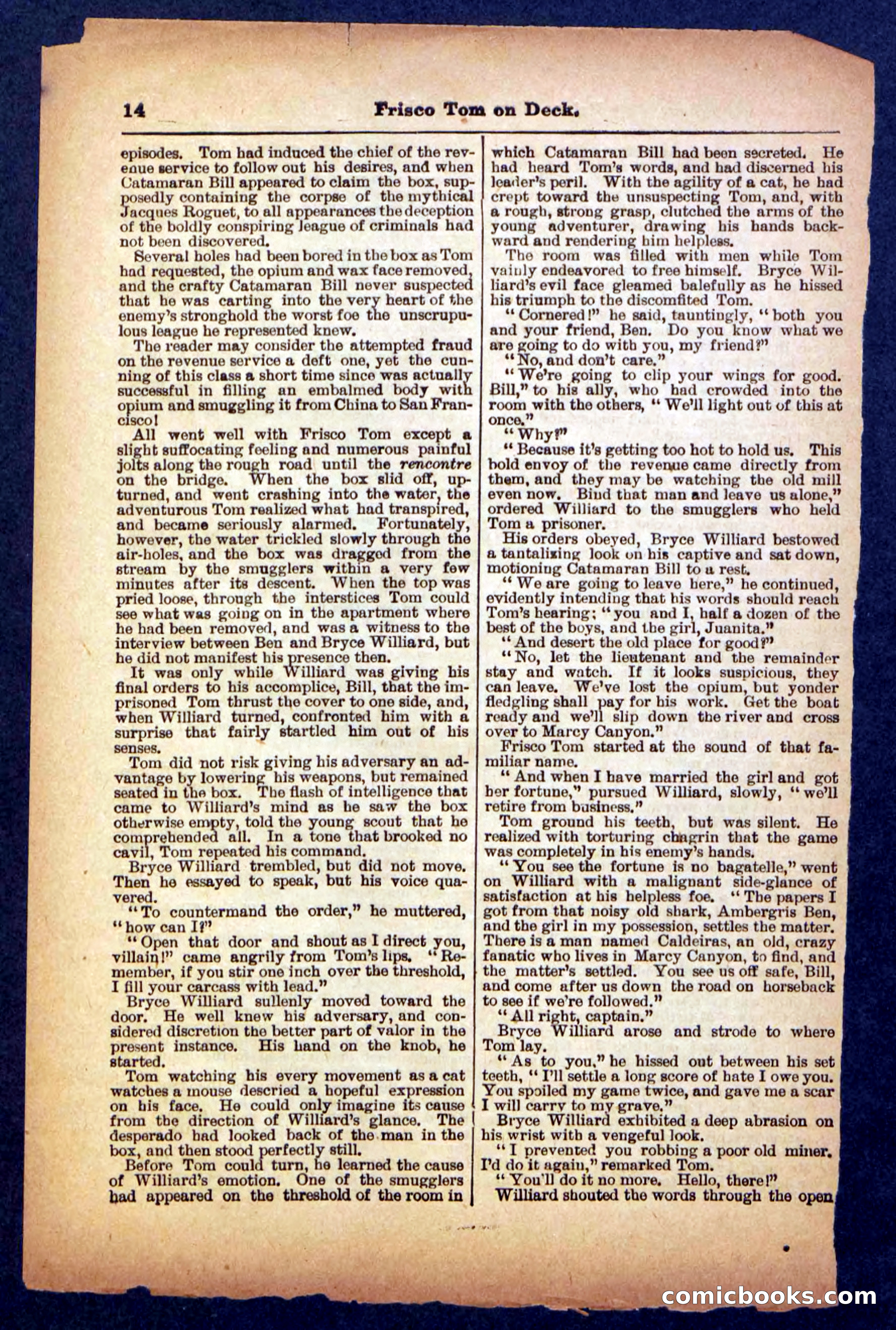 Beadle's Pocket Library No. 334 — page 14 of 32