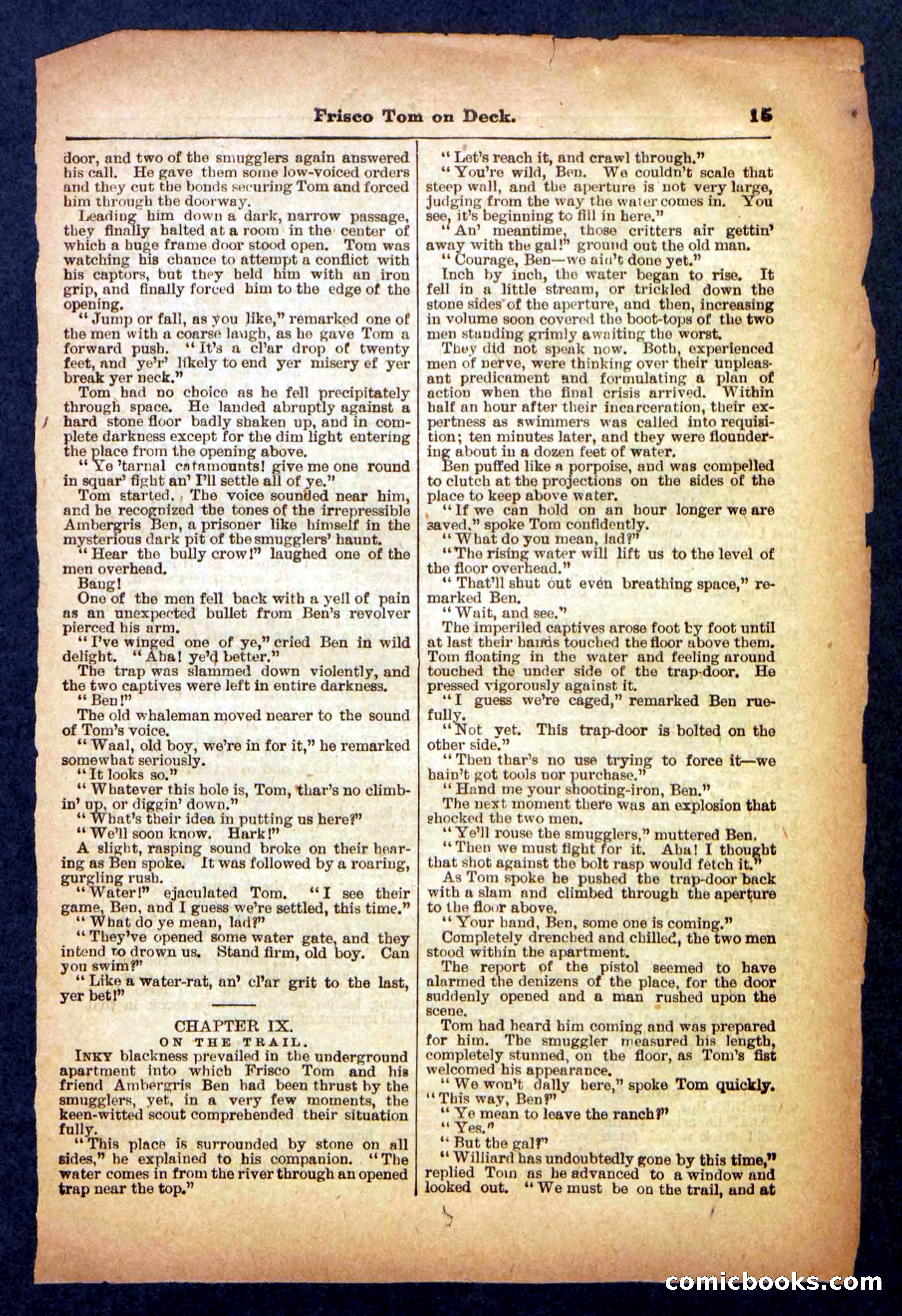 Beadle's Pocket Library No. 334 — page 15 of 32
