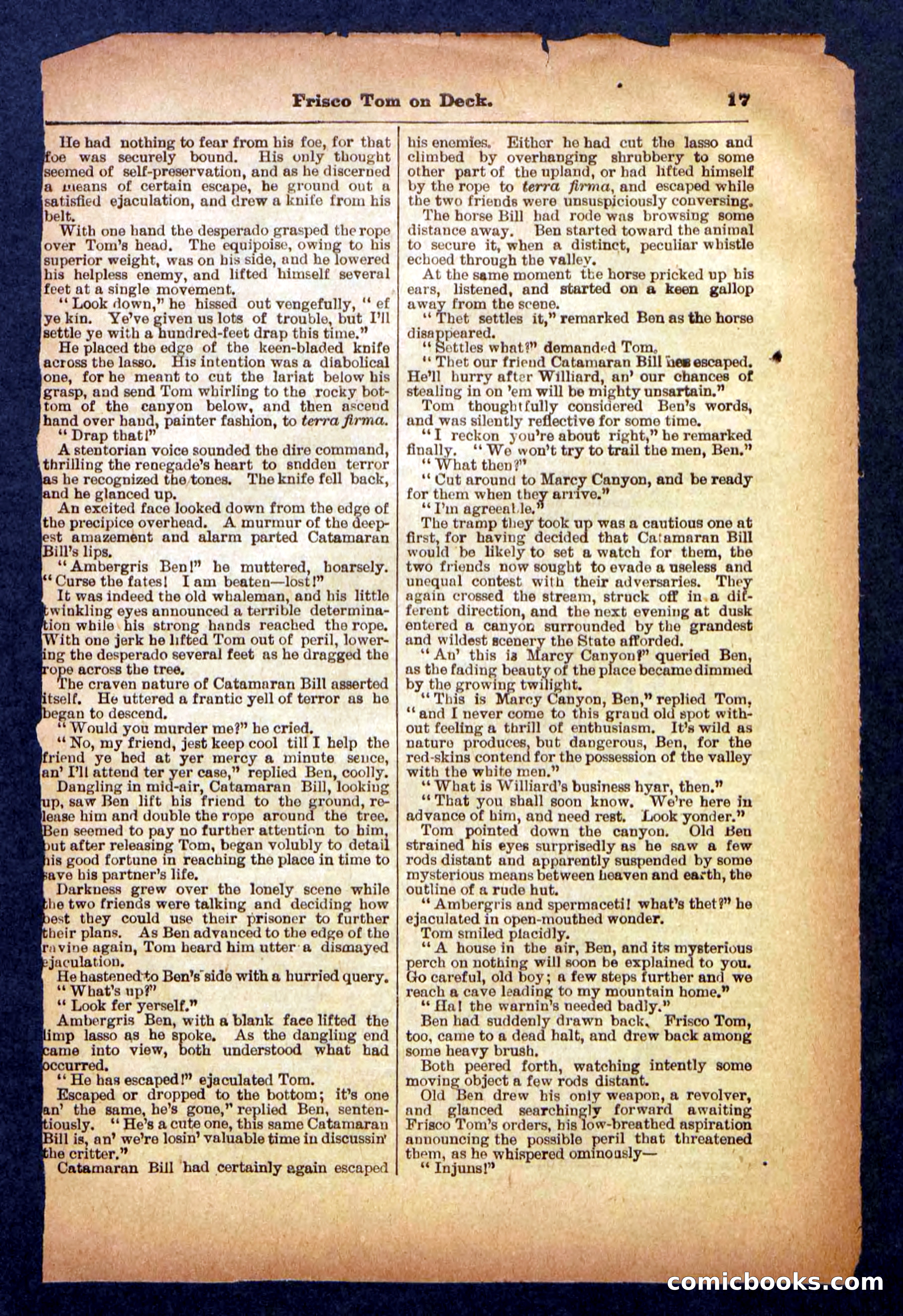 Beadle's Pocket Library No. 334 — page 17 of 32