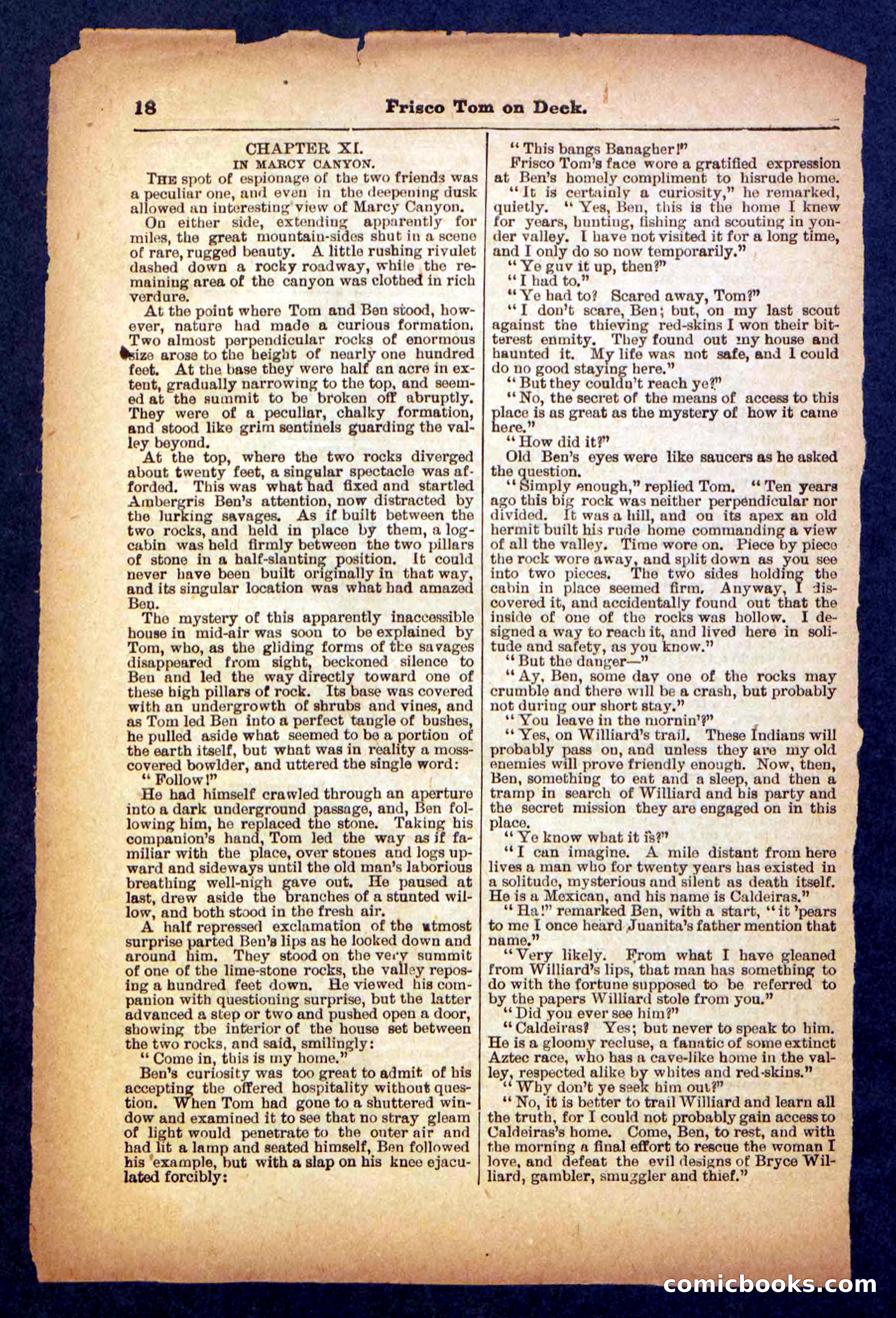 Beadle's Pocket Library No. 334 — page 18 of 32
