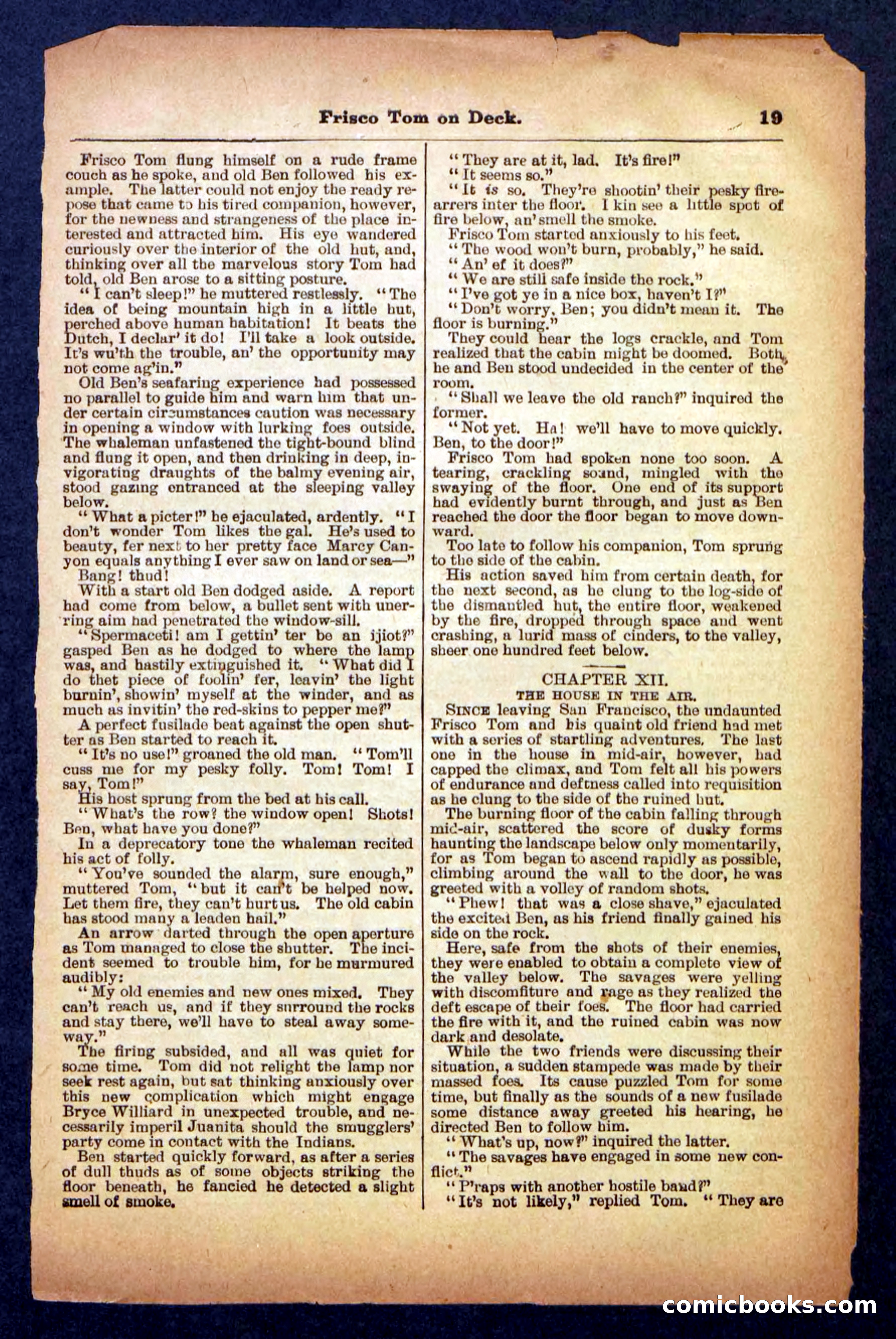 Beadle's Pocket Library No. 334 — page 19 of 32