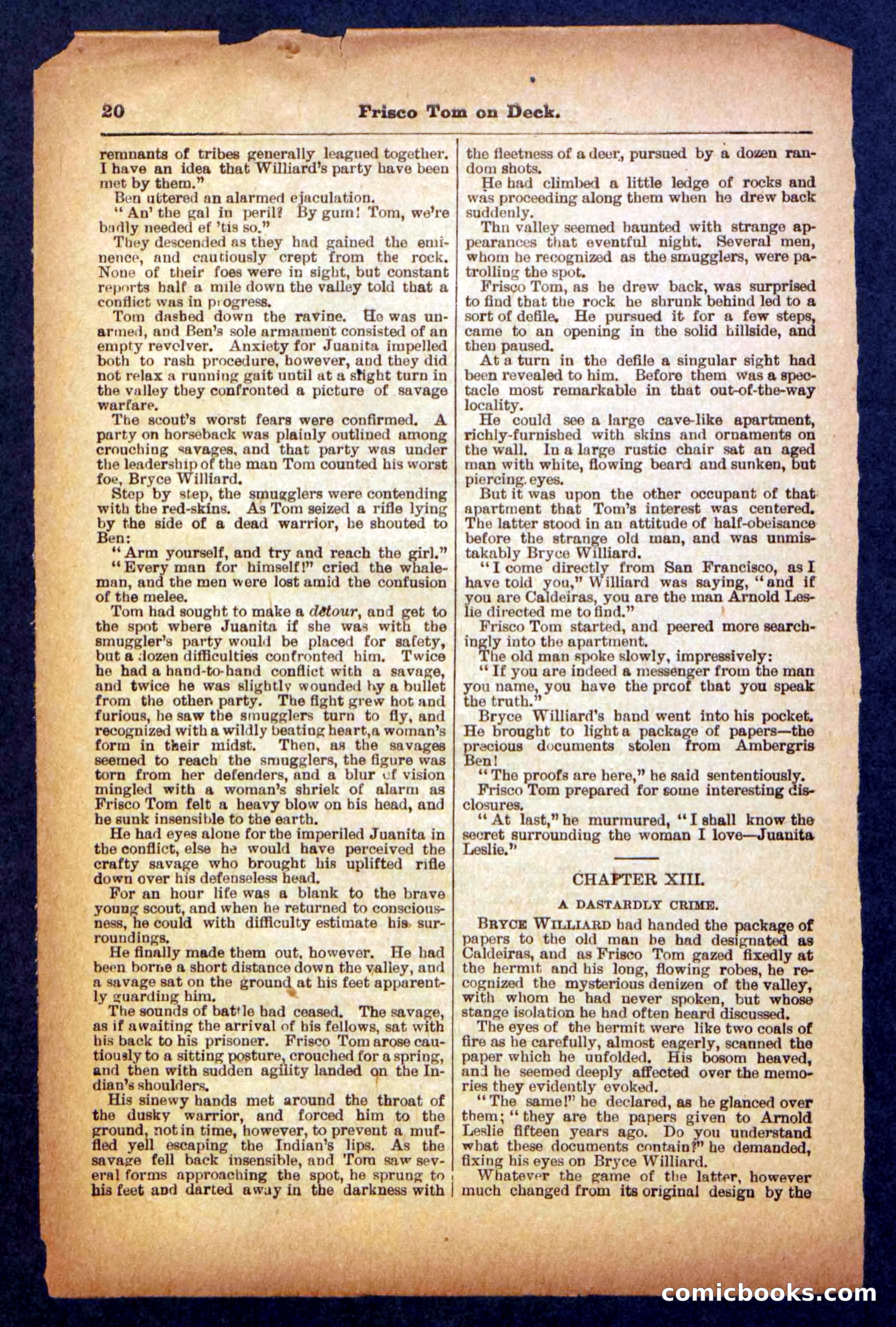 Beadle's Pocket Library No. 334 — page 20 of 32