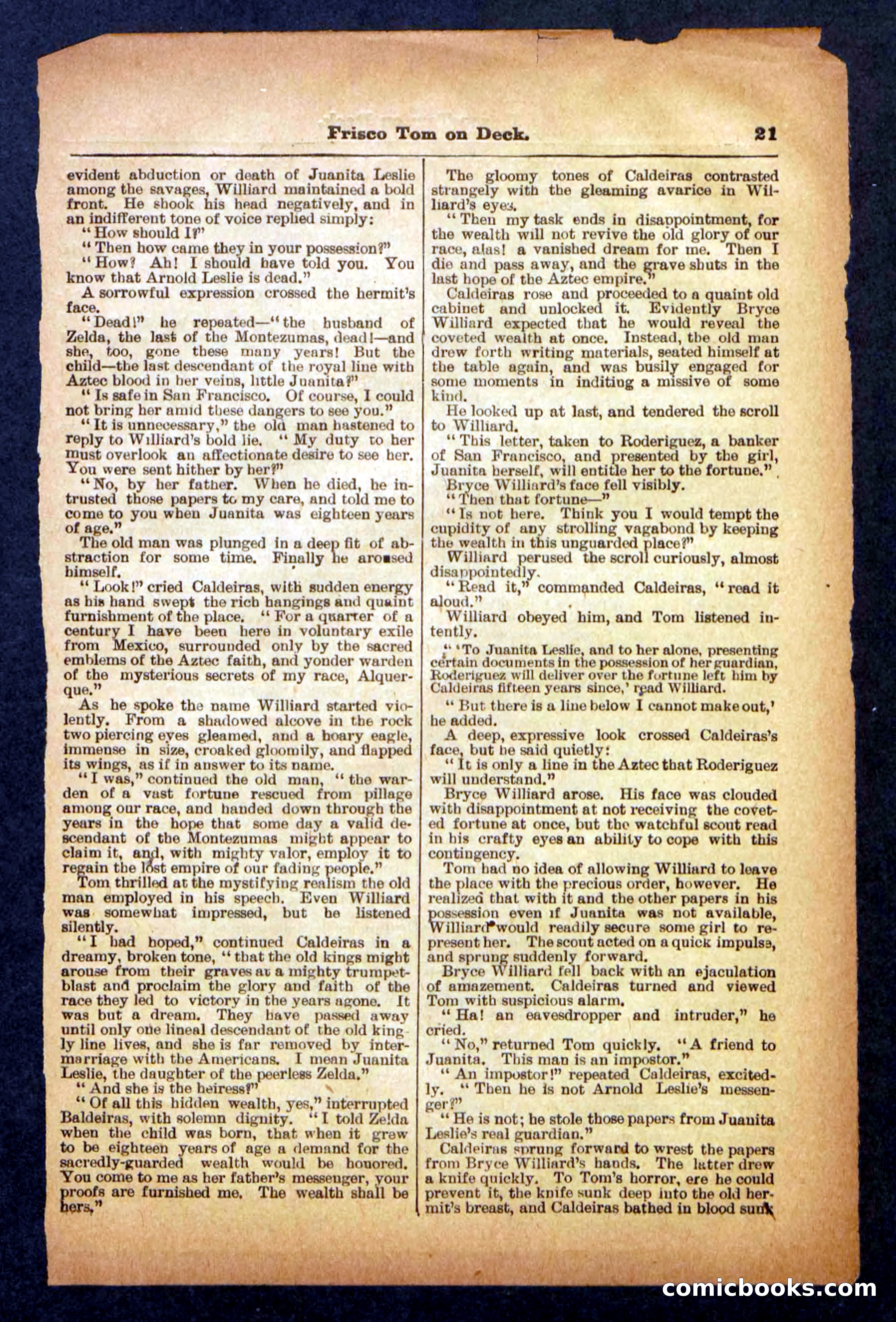 Beadle's Pocket Library No. 334 — page 21 of 32
