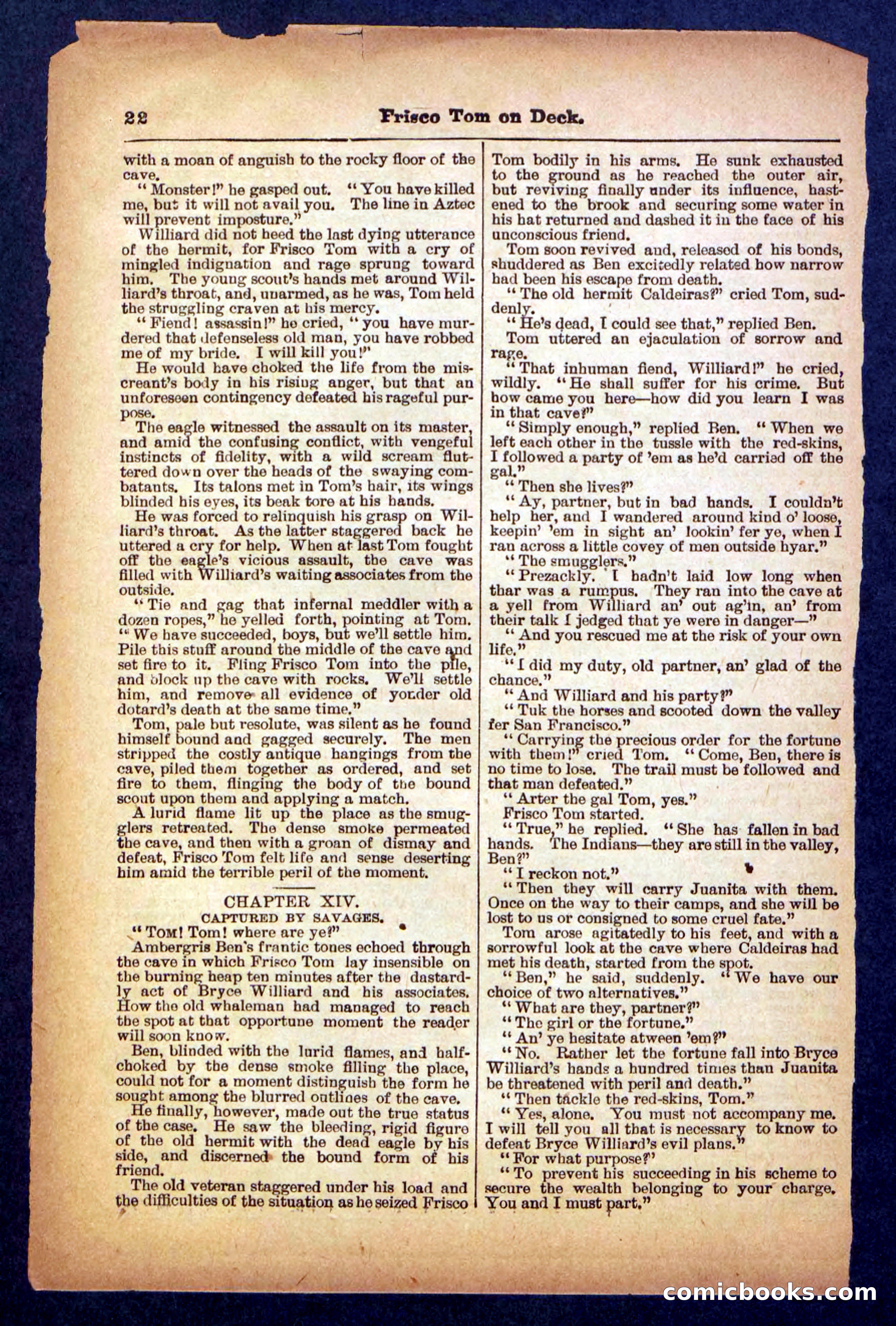 Beadle's Pocket Library No. 334 — page 22 of 32