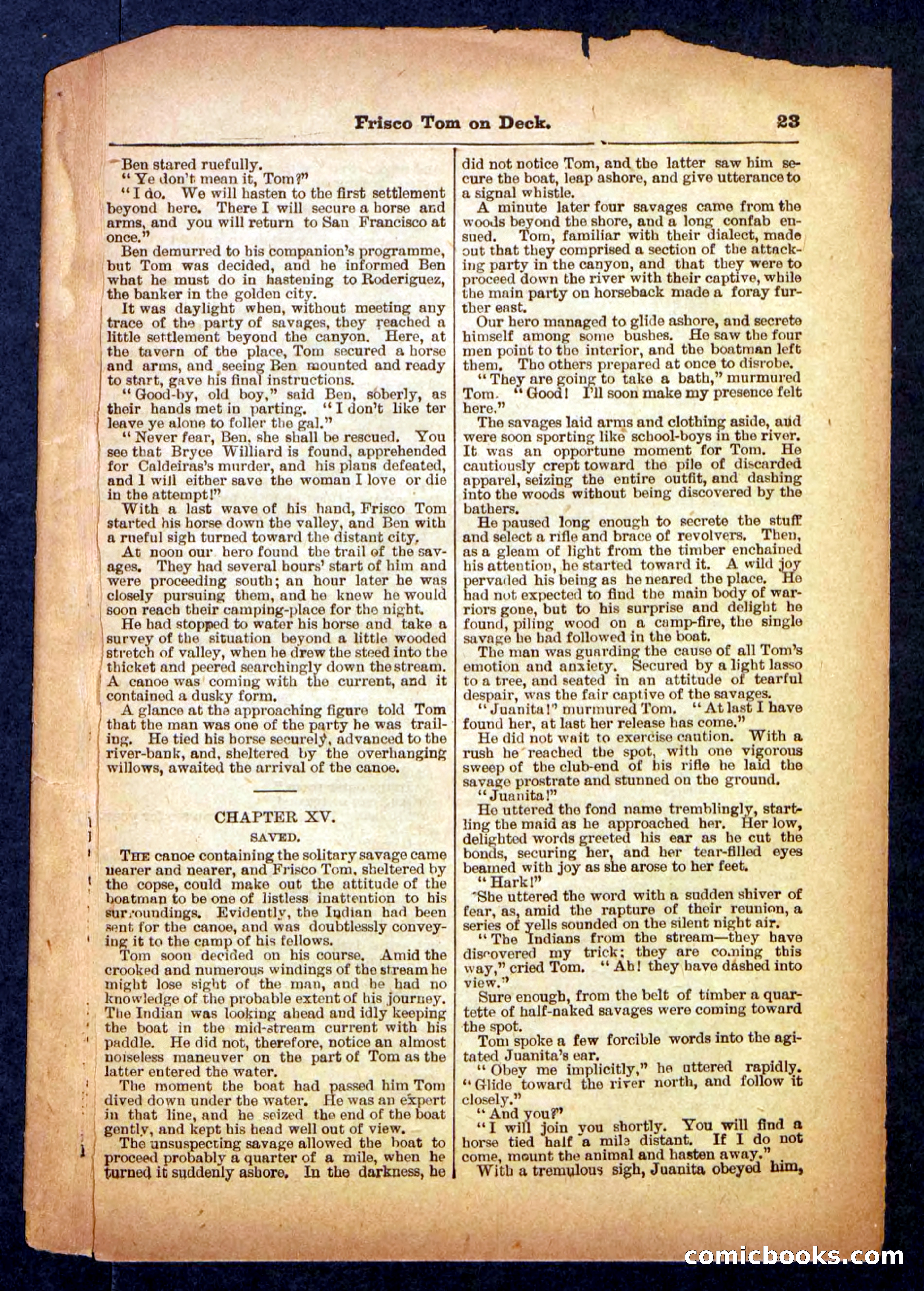 Beadle's Pocket Library No. 334 — page 23 of 32