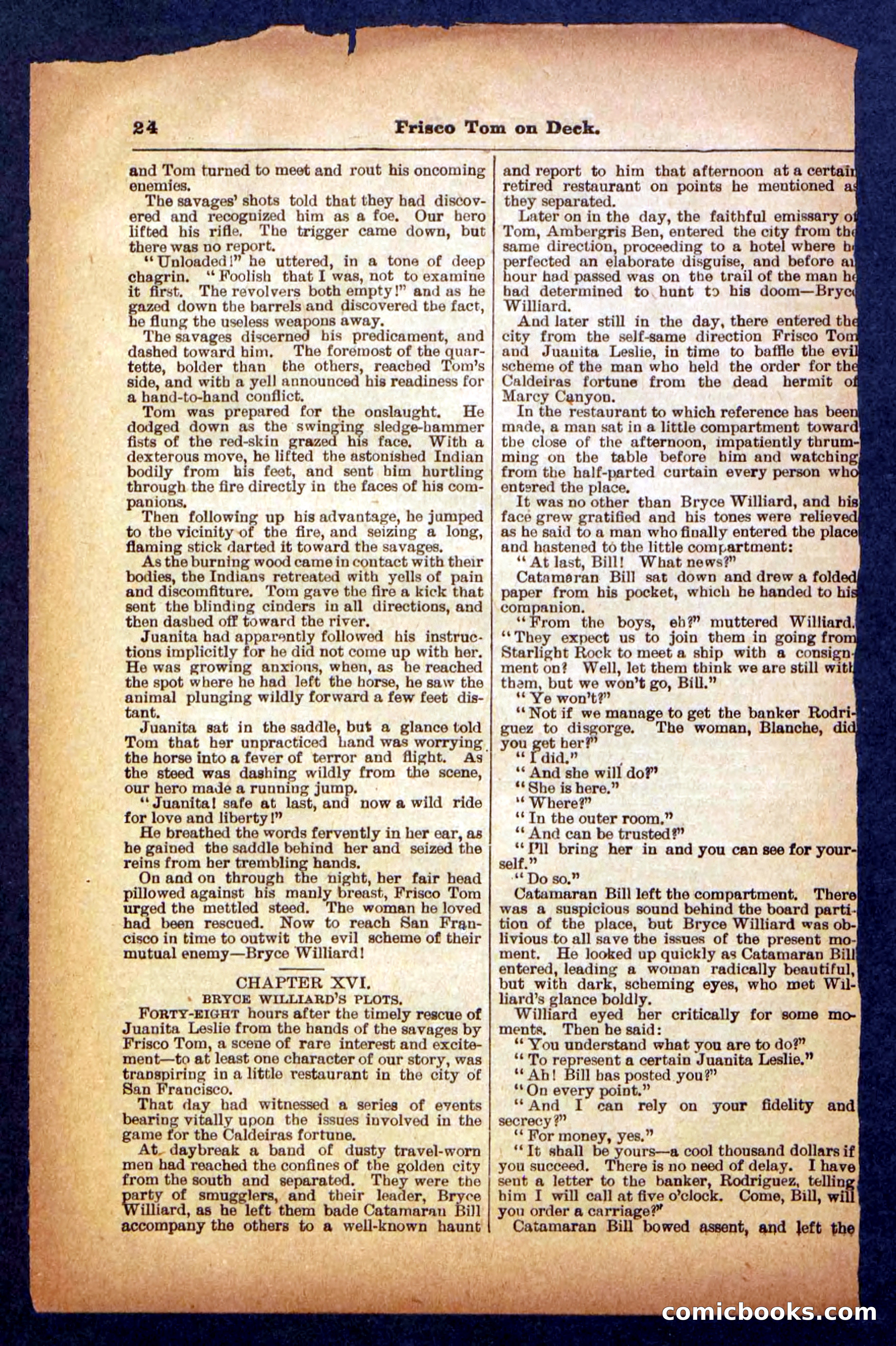 Beadle's Pocket Library No. 334 — page 24 of 32