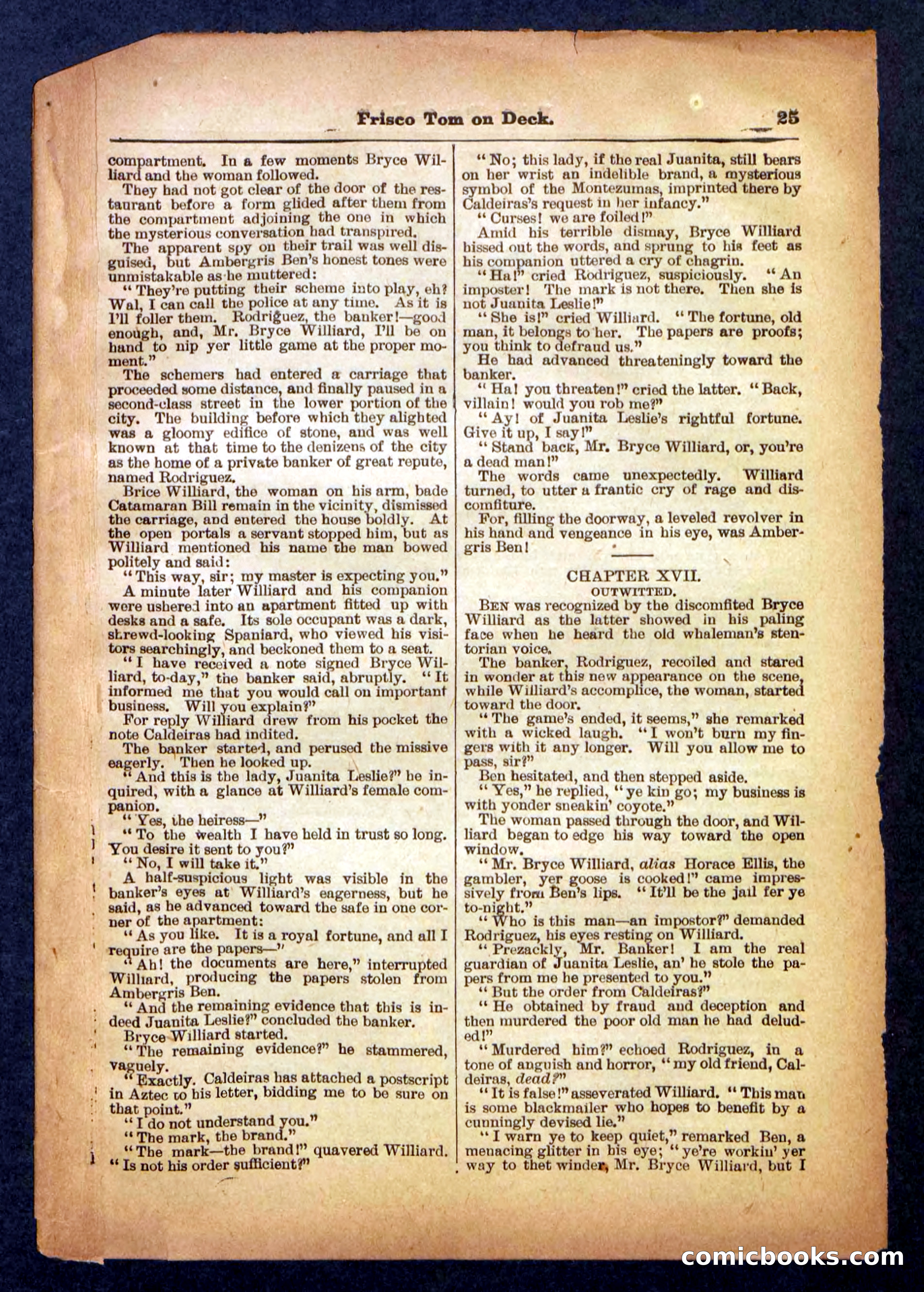 Beadle's Pocket Library No. 334 — page 25 of 32
