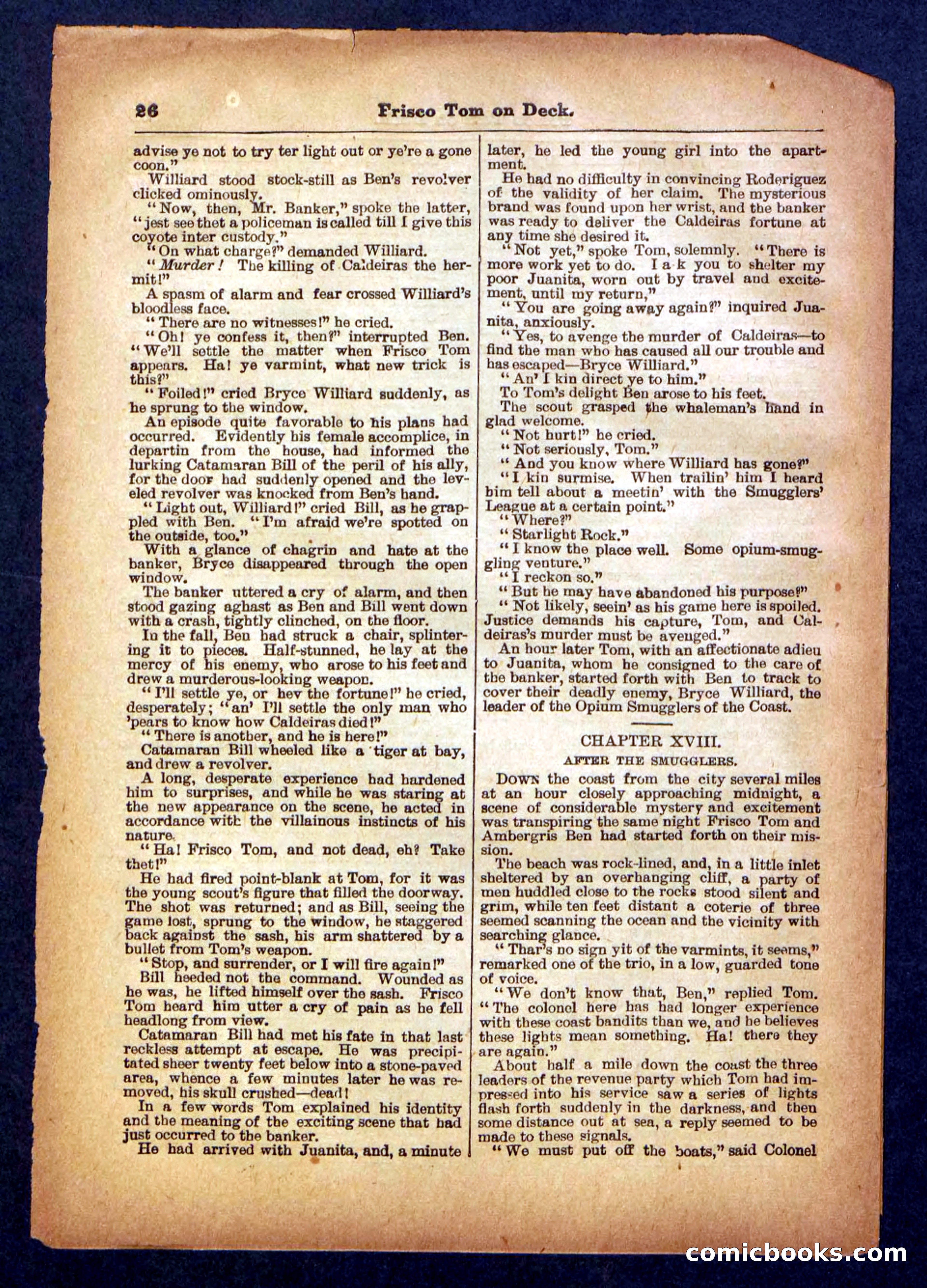 Beadle's Pocket Library No. 334 — page 26 of 32
