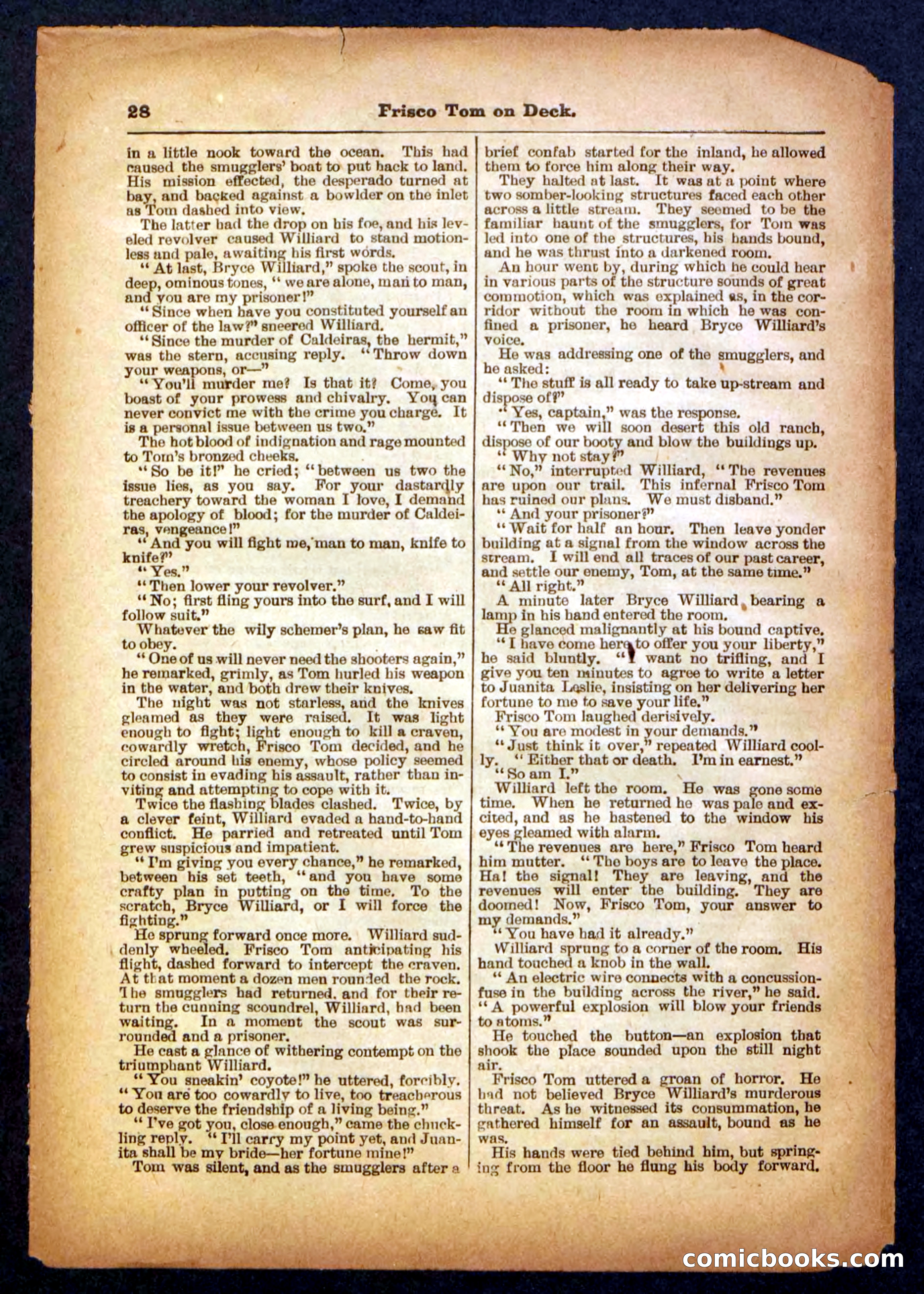 Beadle's Pocket Library No. 334 — page 28 of 32