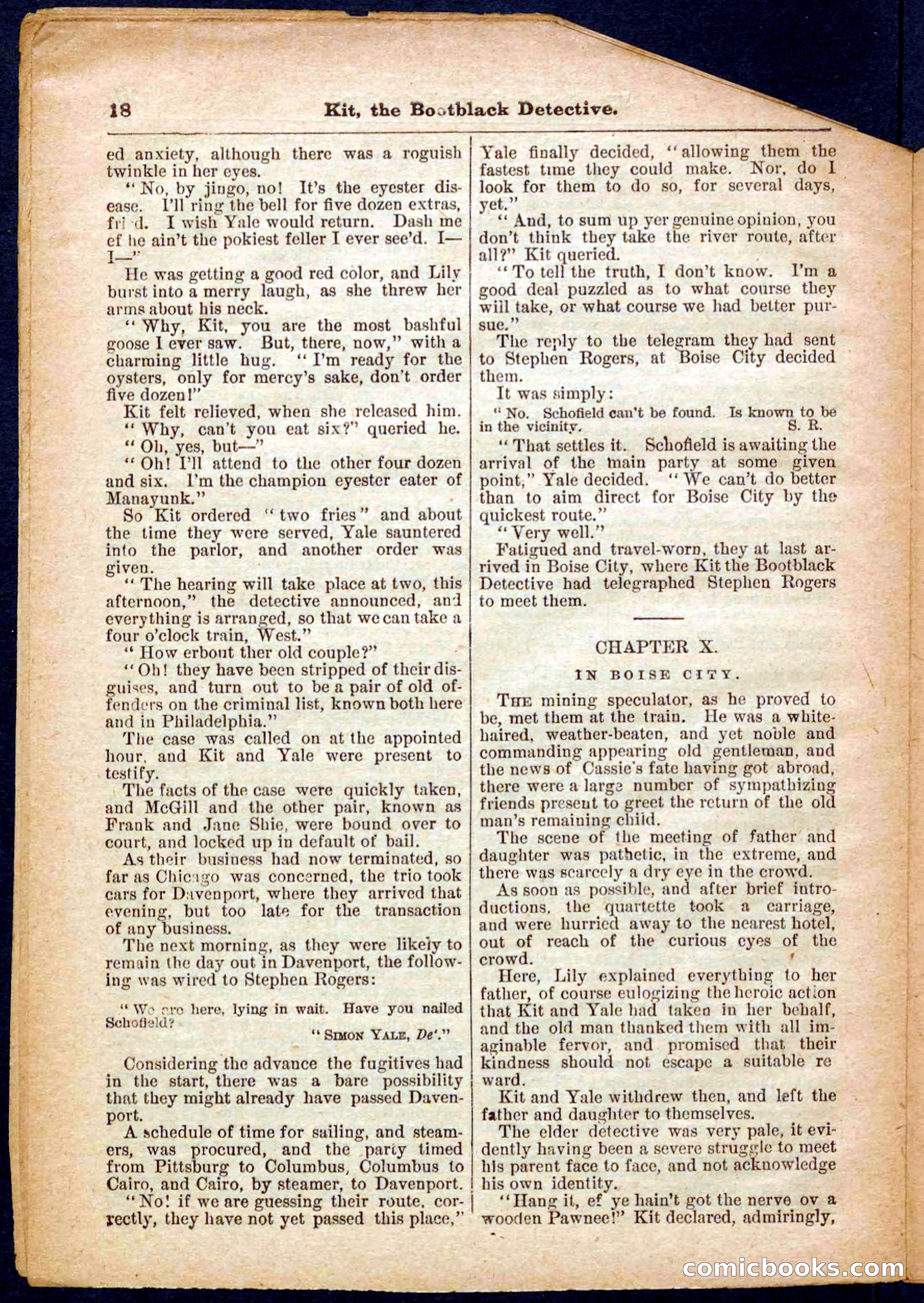 Beadle's Pocket Library No. 362 — page 18 of 32