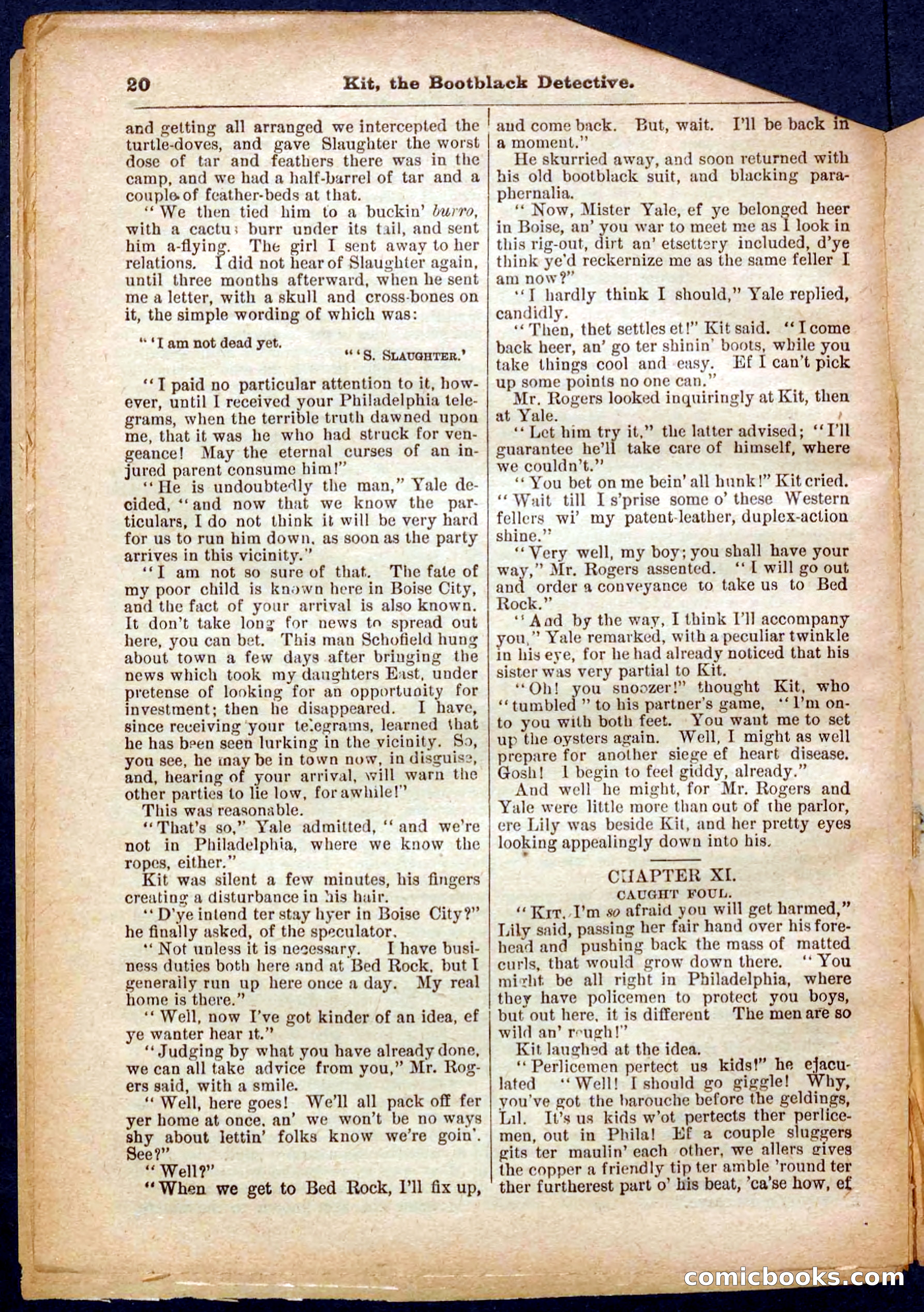 Beadle's Pocket Library No. 362 — page 20 of 32