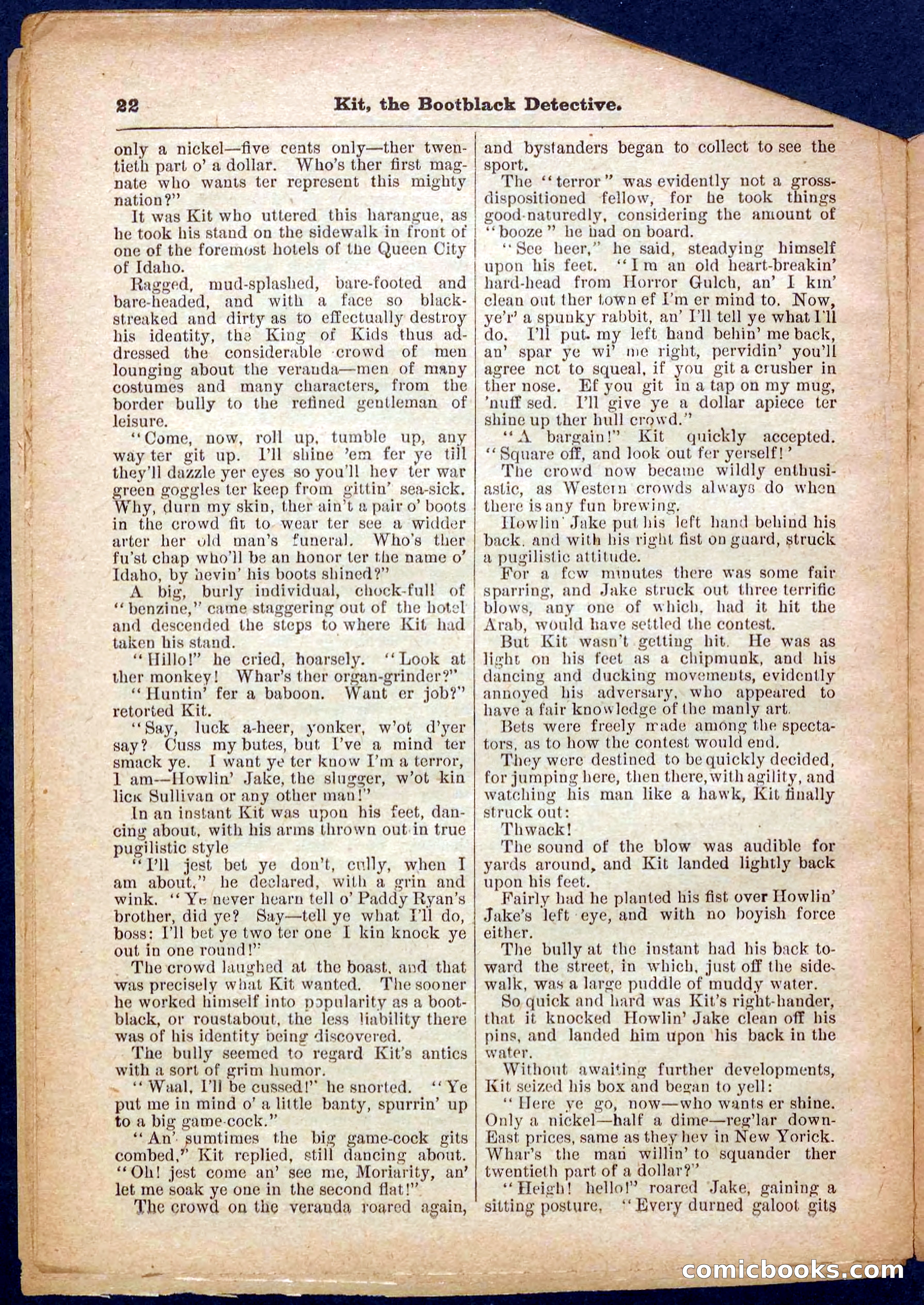 Beadle's Pocket Library No. 362 — page 22 of 32