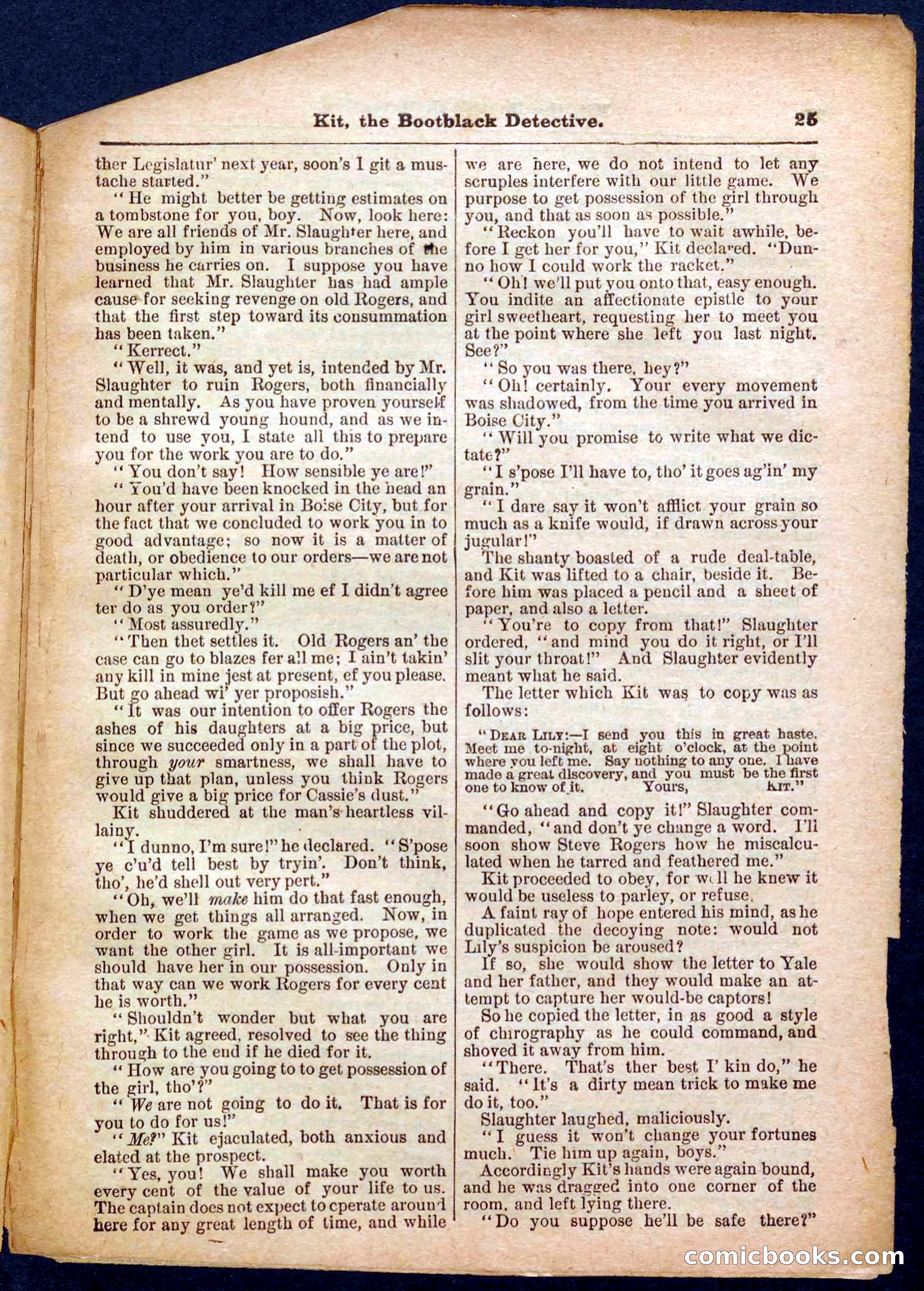 Beadle's Pocket Library No. 362 — page 25 of 32